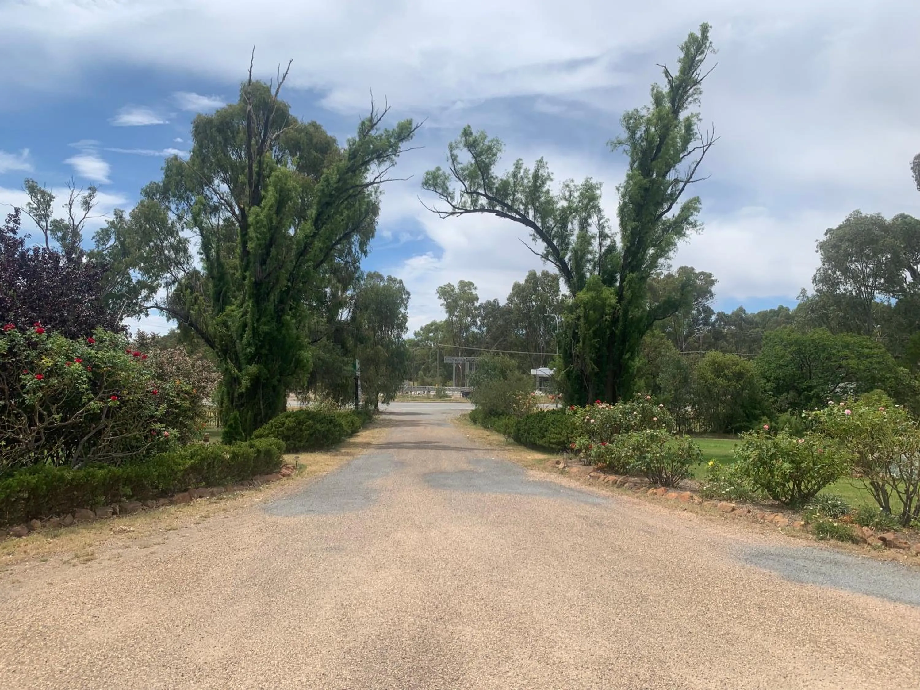 Newell Motor Inn Narrandera