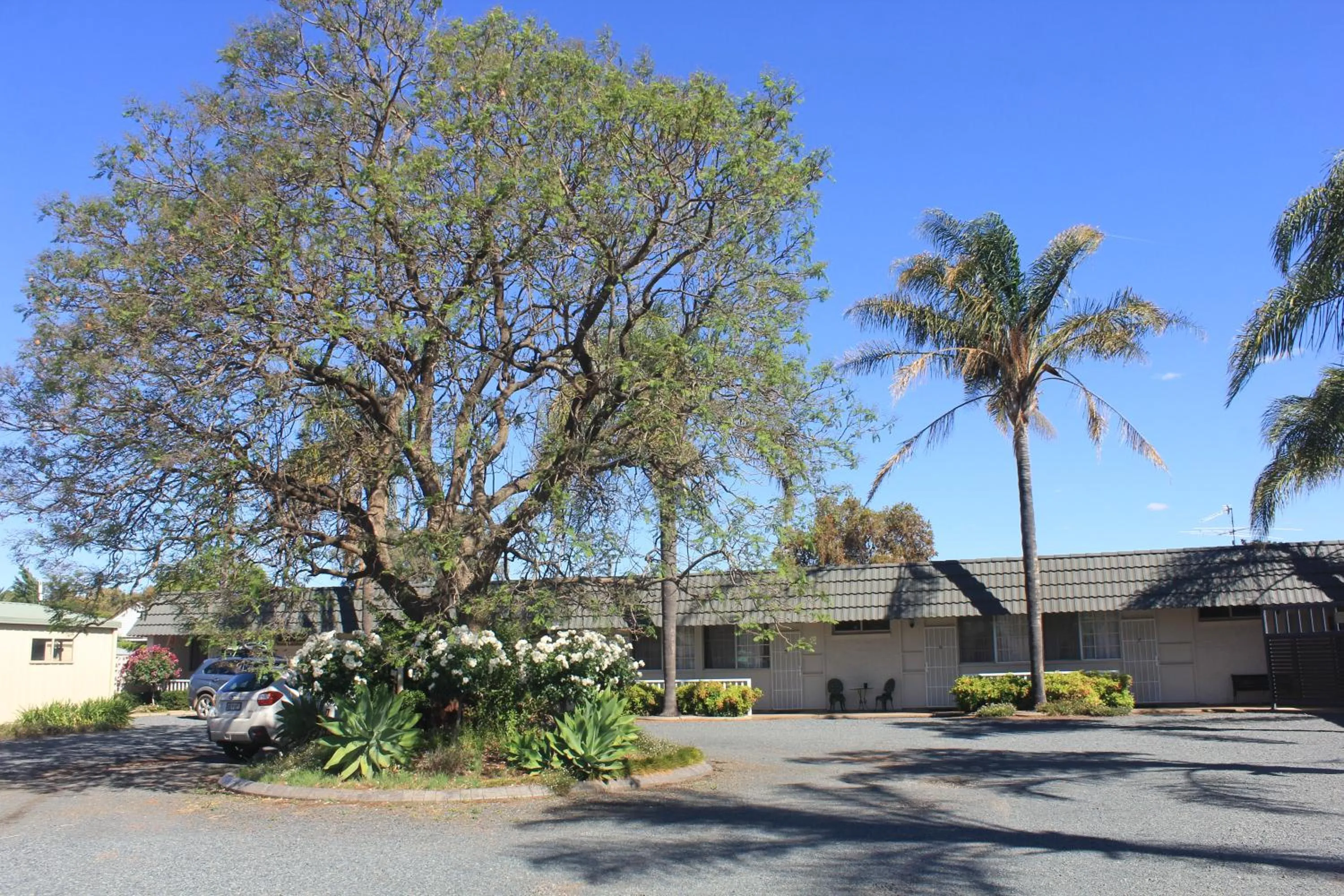 Facade/entrance in Aromet Motor Inn