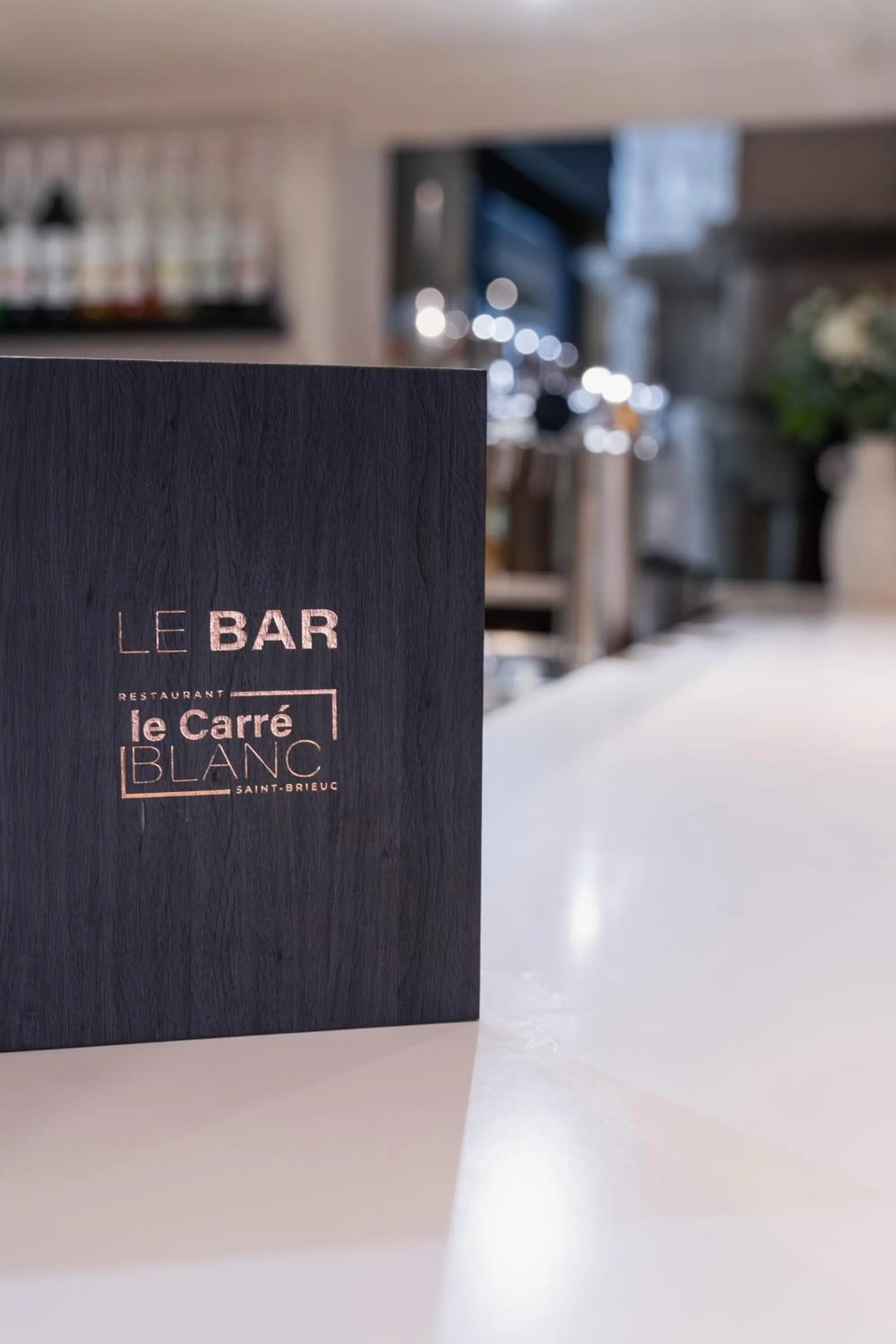 Lounge or bar in BRIT HOTEL - RESTAURANT Saint-Brieuc Langueux