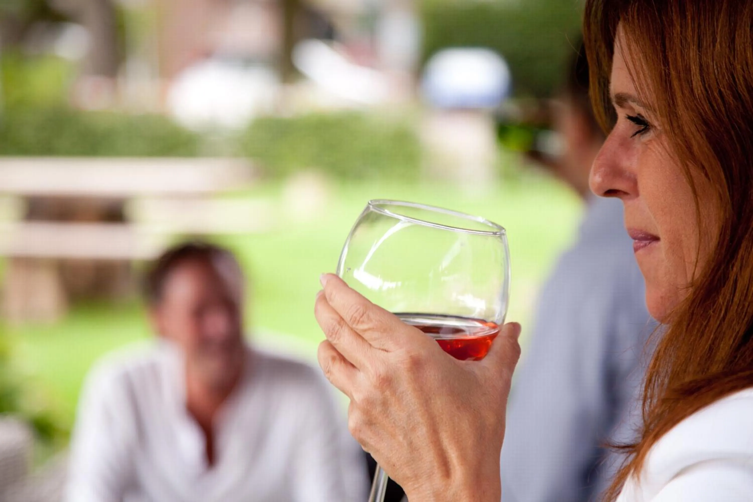 Garden in De Slaapfabriek vakantiehuis en trainingslocatie
