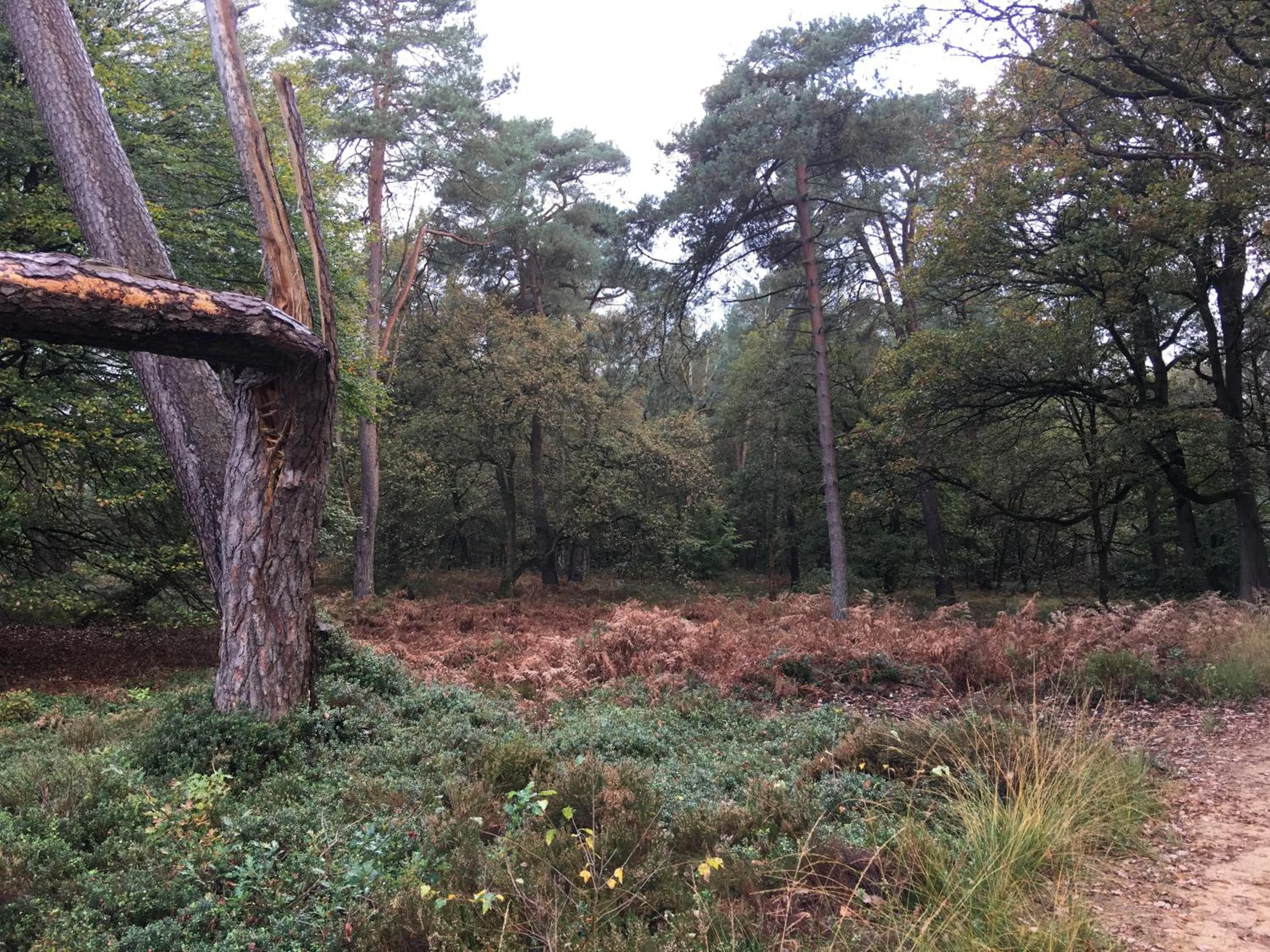 Nearby landmark in De Slaapfabriek vakantiehuis en trainingslocatie