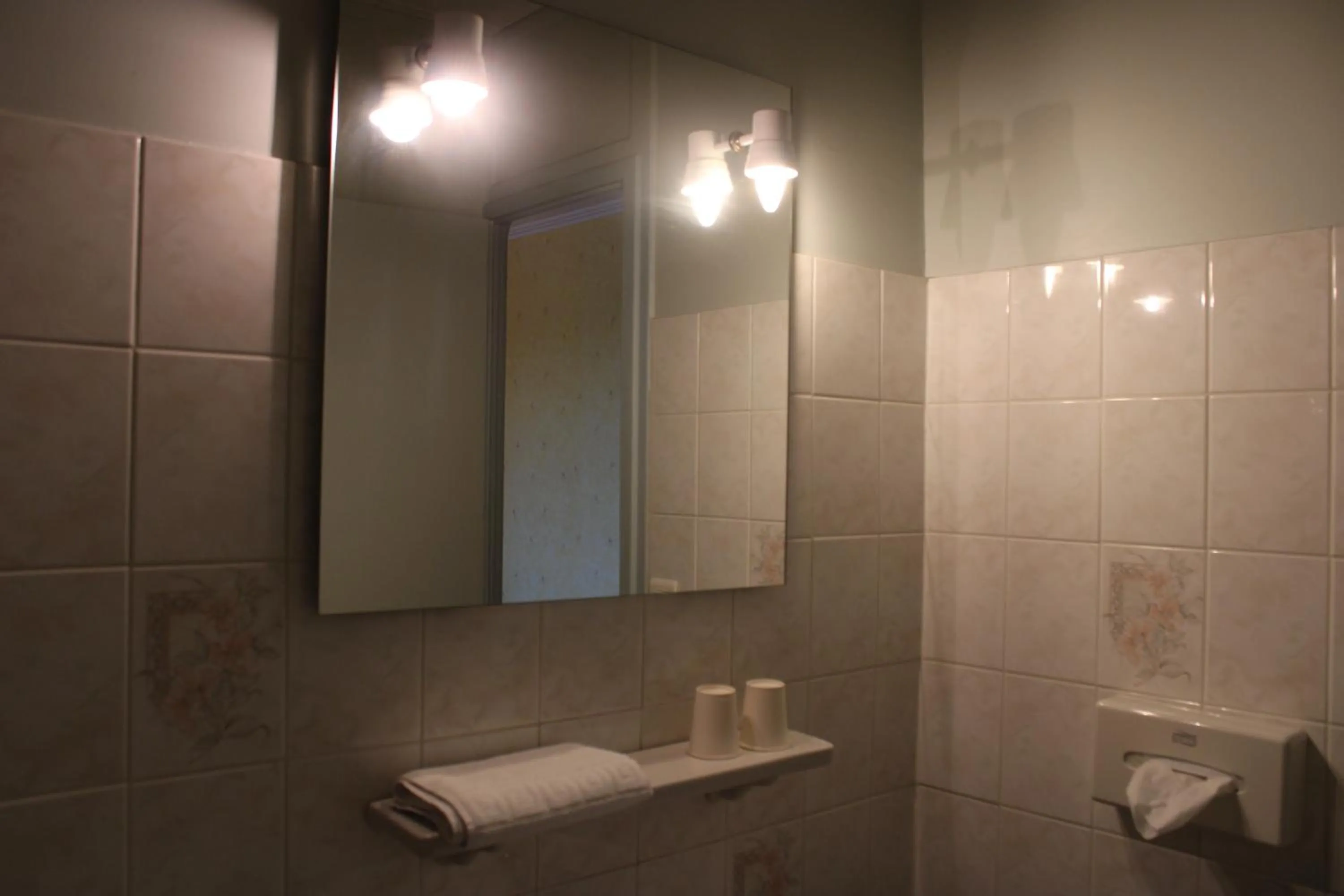 Bathroom in Le Commerce