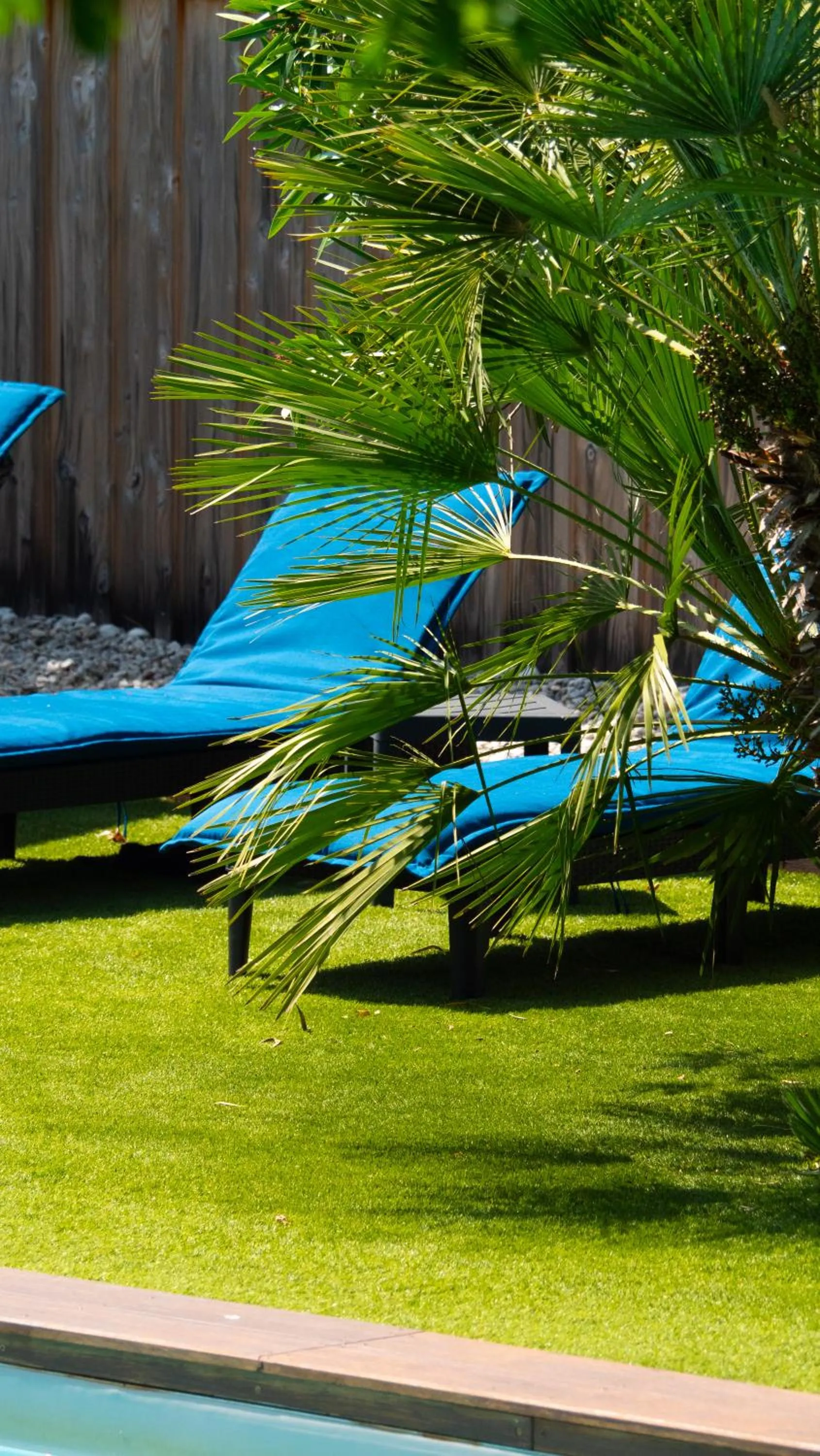 Garden in La Villa Herbert Maison d'hôtes à Andernos