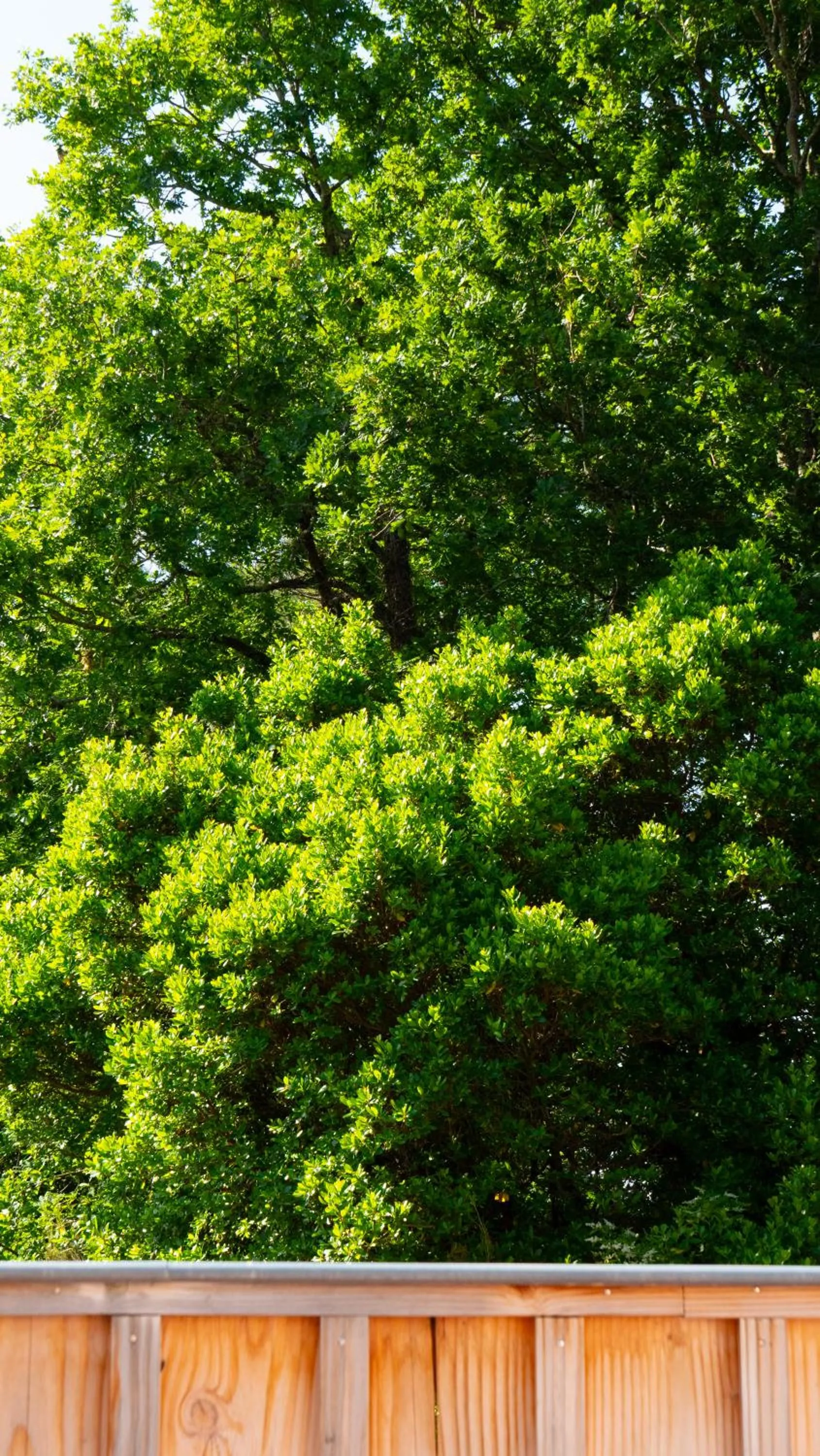 La Villa Herbert Maison d'hôtes à Andernos