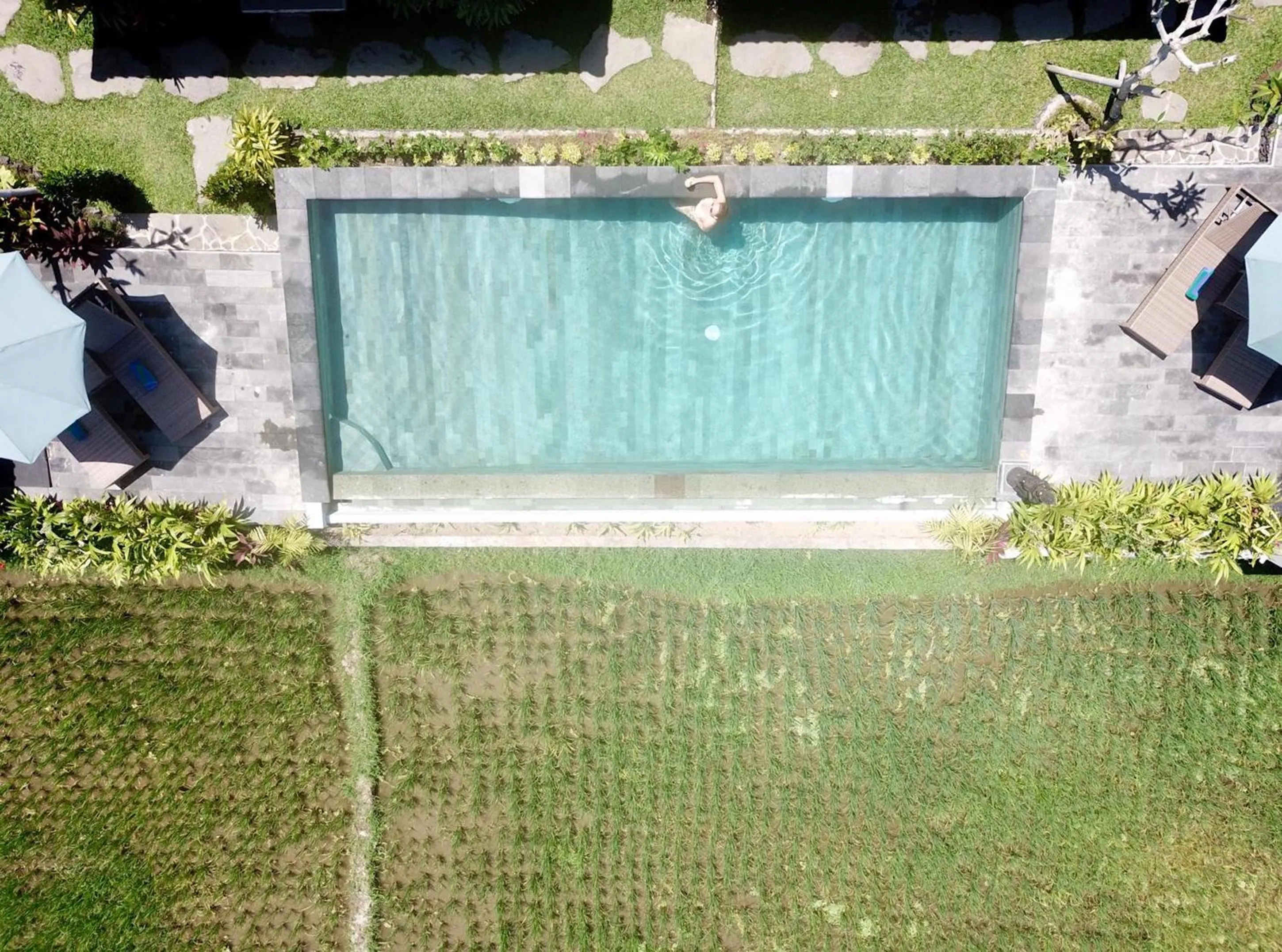 Swimming pool in Paraiso Cottage Ubud