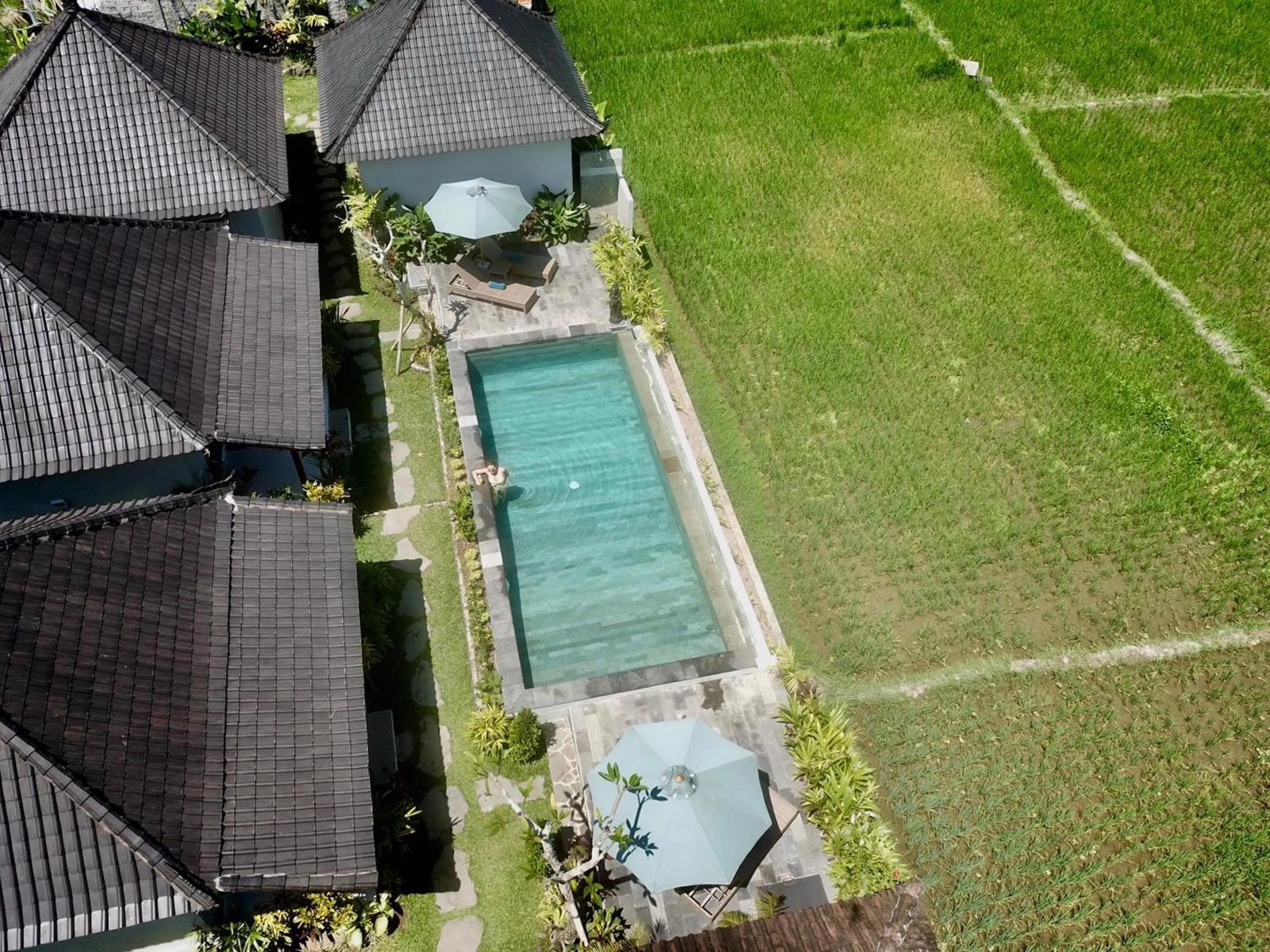 Swimming pool in Paraiso Cottage Ubud