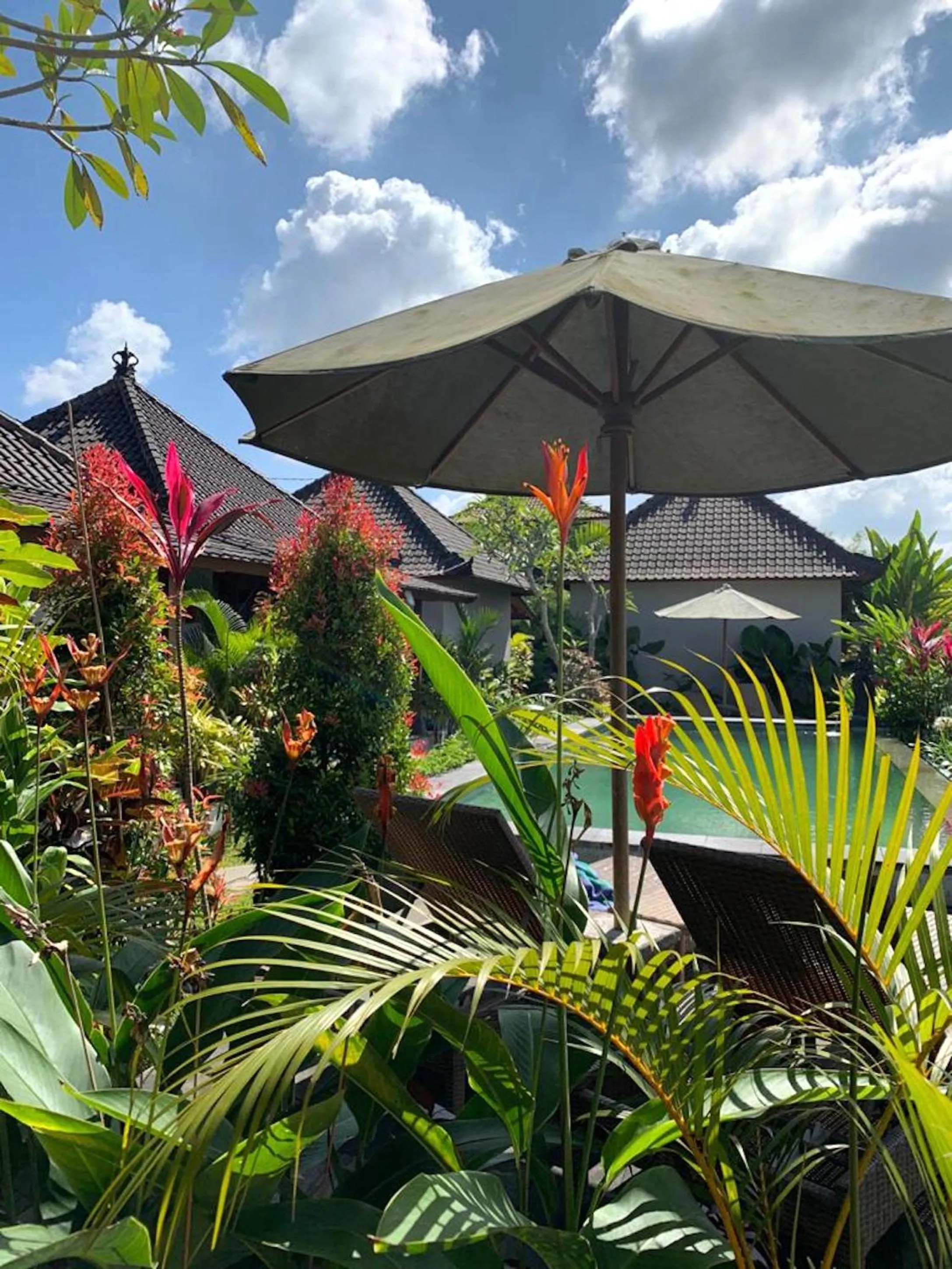 Garden in Paraiso Cottage Ubud