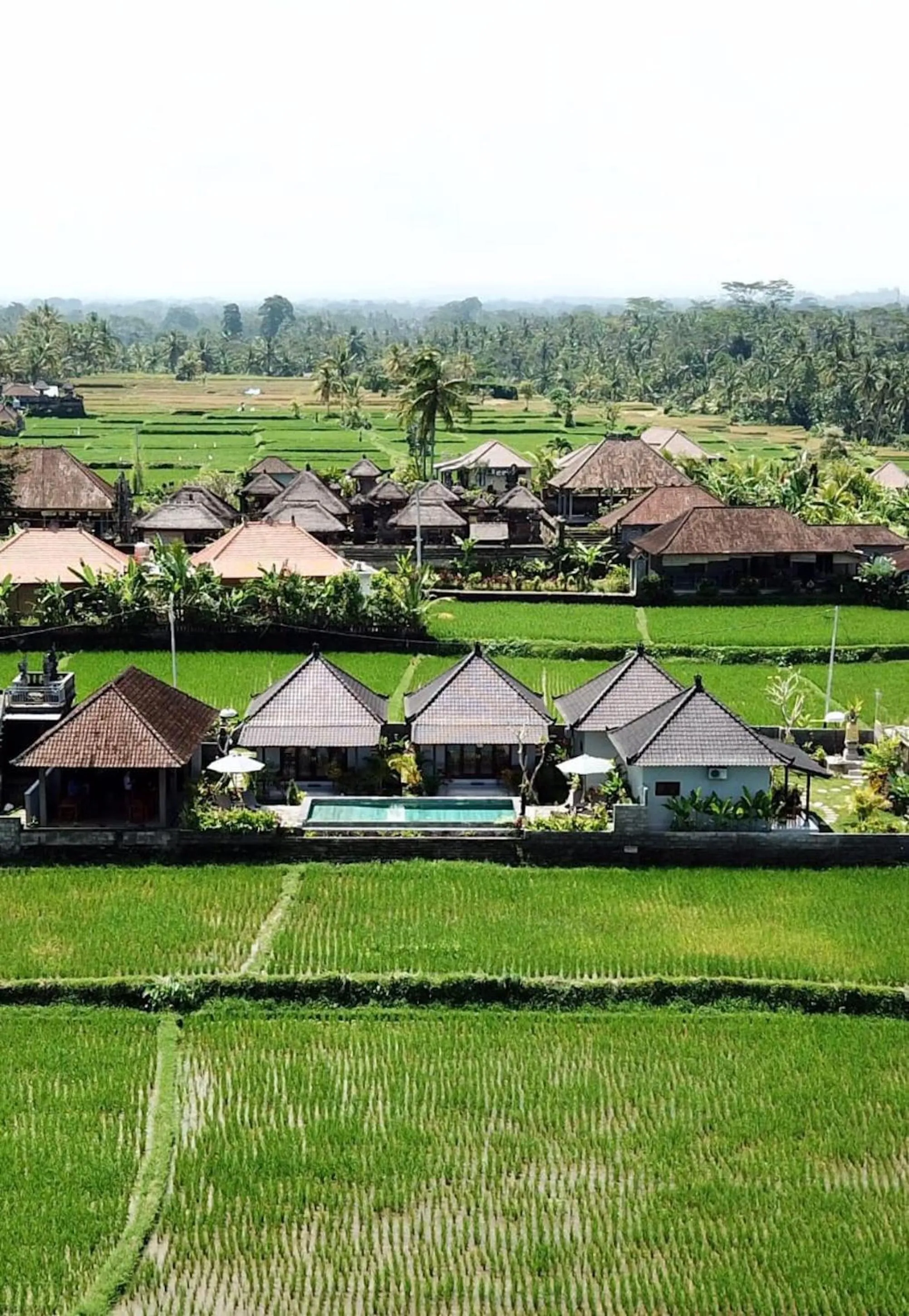 Property building in Paraiso Cottage Ubud