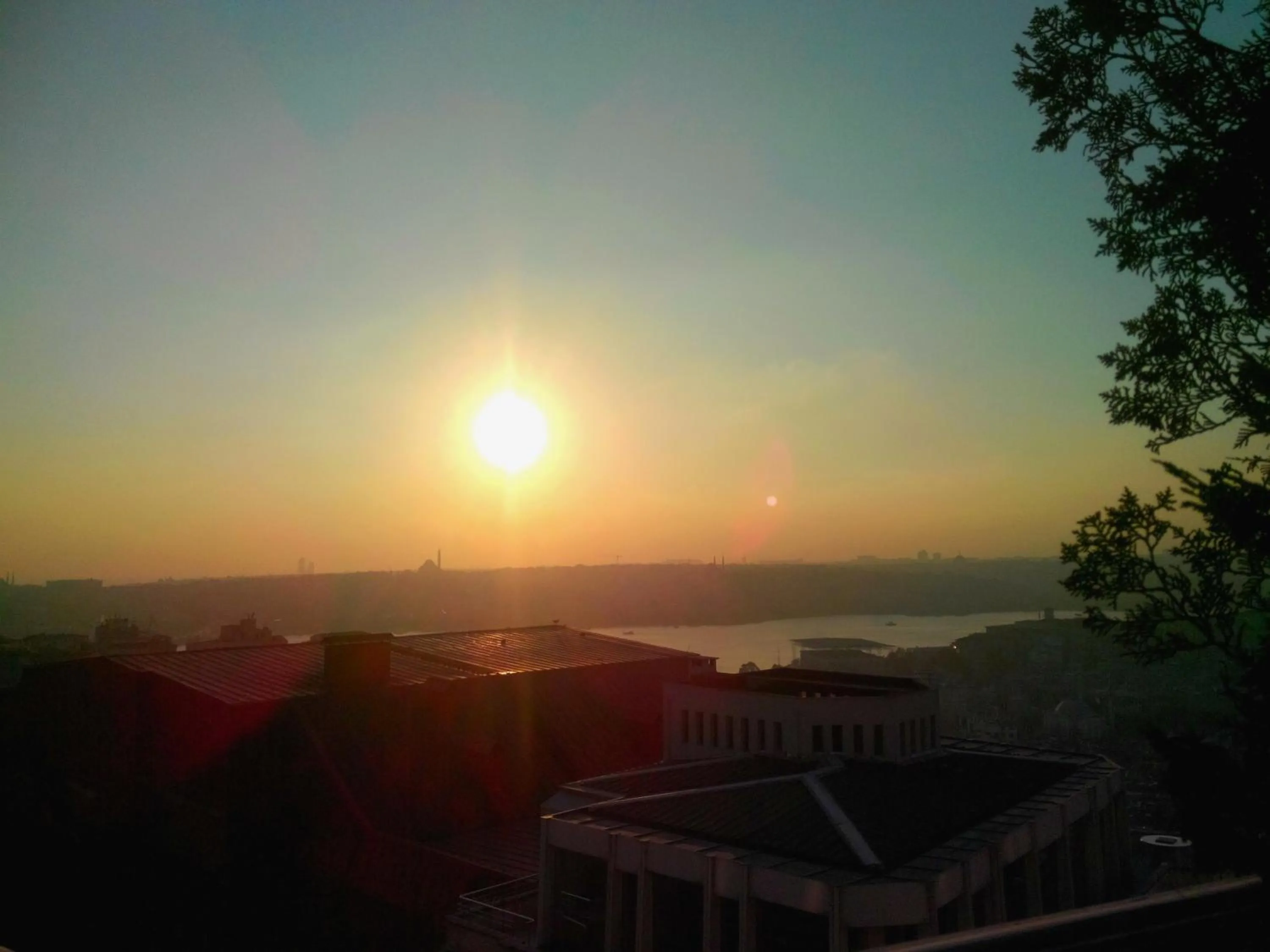 Restaurant/places to eat in Hotel The Pera Hill