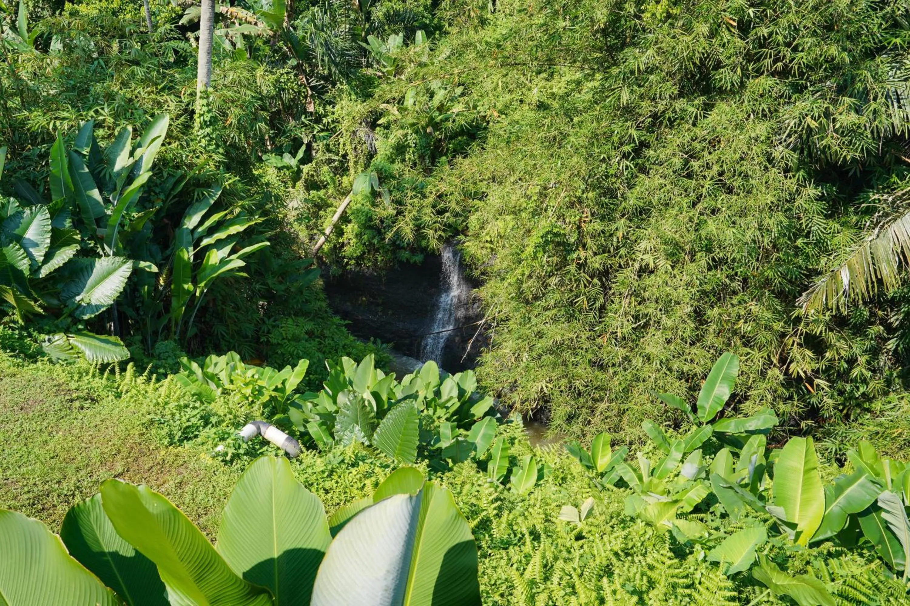 River view in Pertiwi Bisma 1