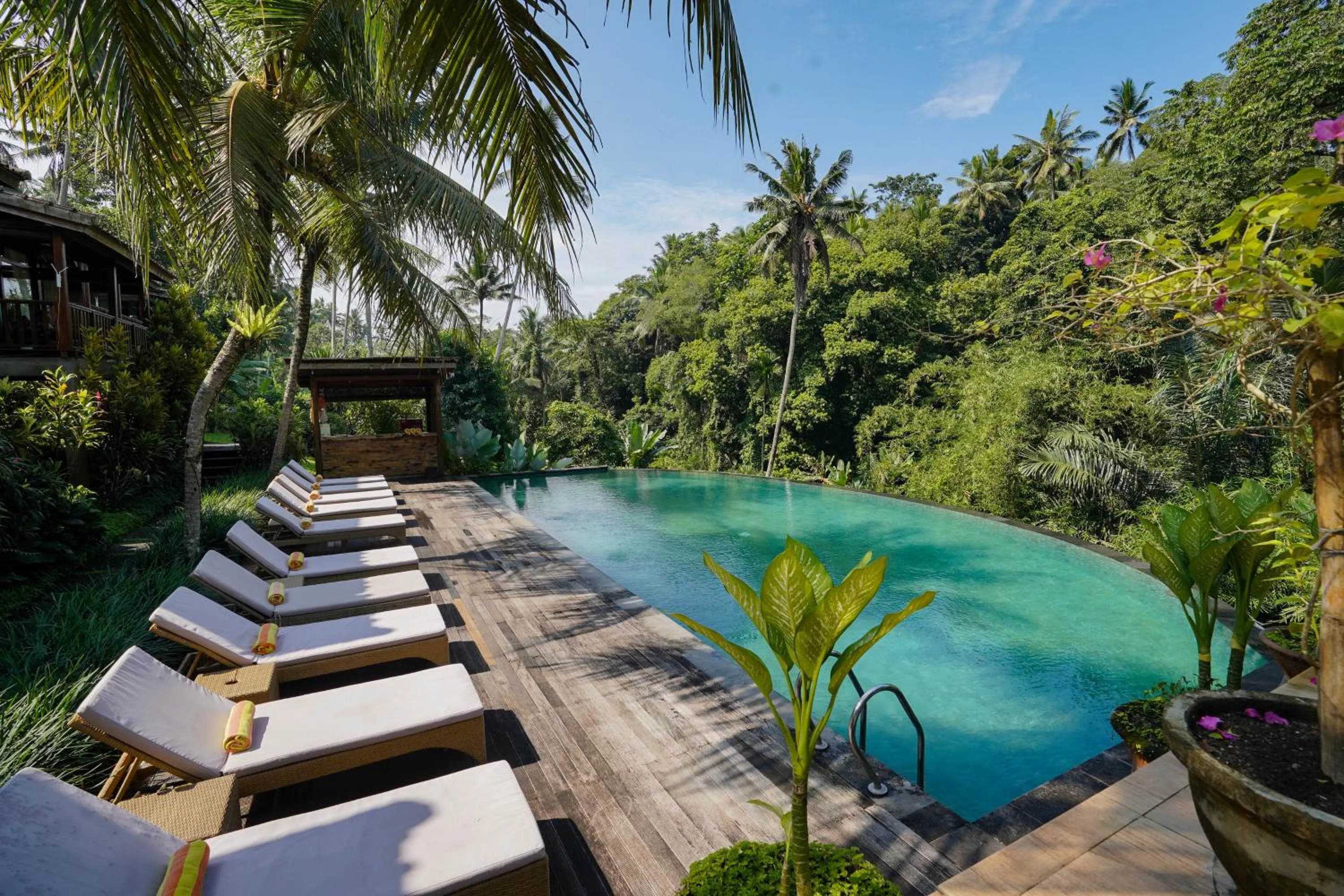 Pool view in Pertiwi Bisma 1