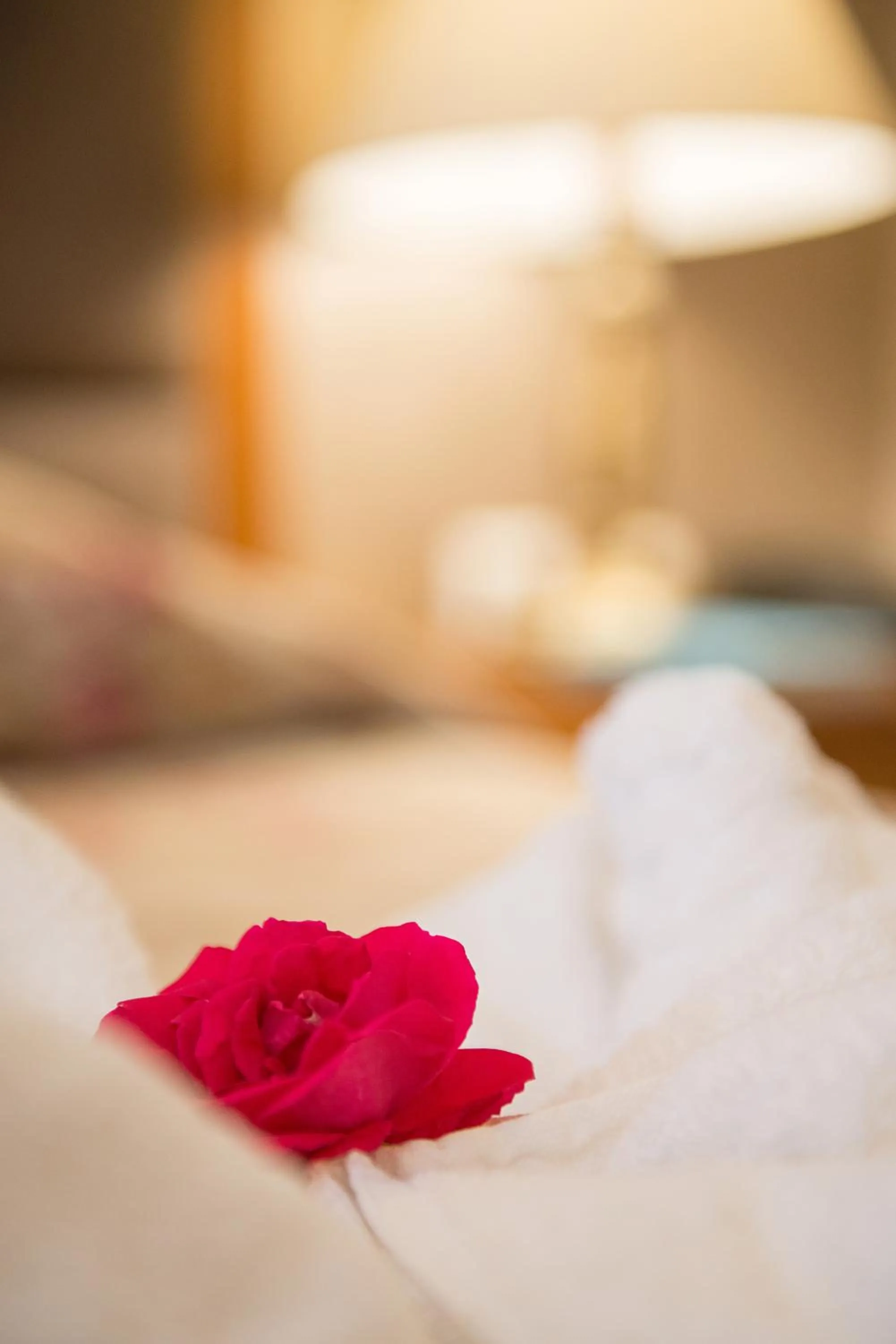 Decorative detail, Bed in Hotel Aethria