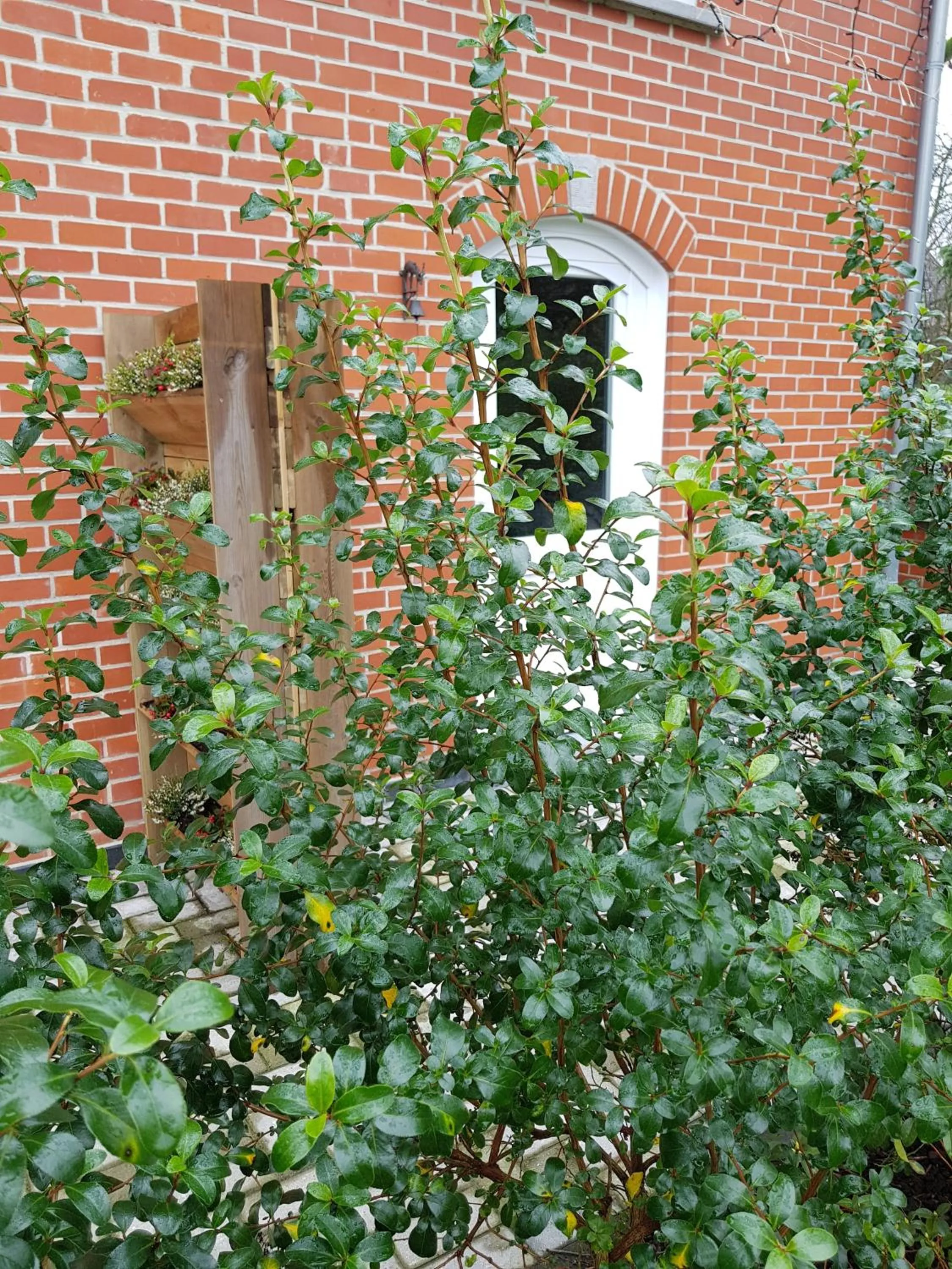 LA RIVIERE DU BIEN ETRE