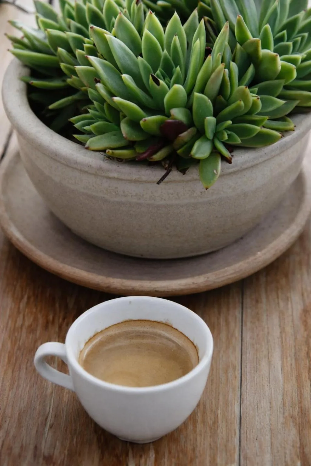 Breakfast in Ikastikies Suites