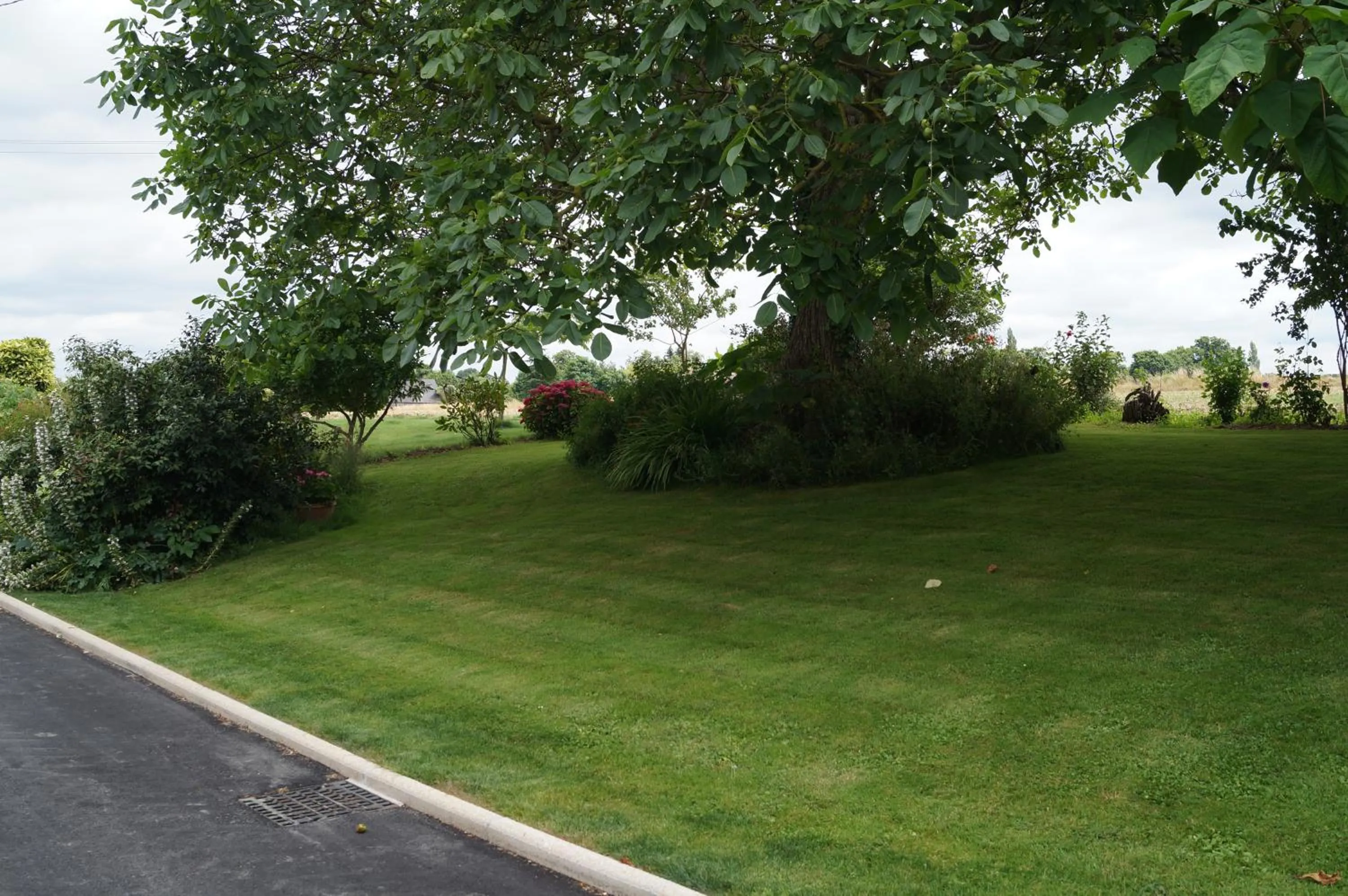 Garden in Chambres d'Hôtes La Loubatais