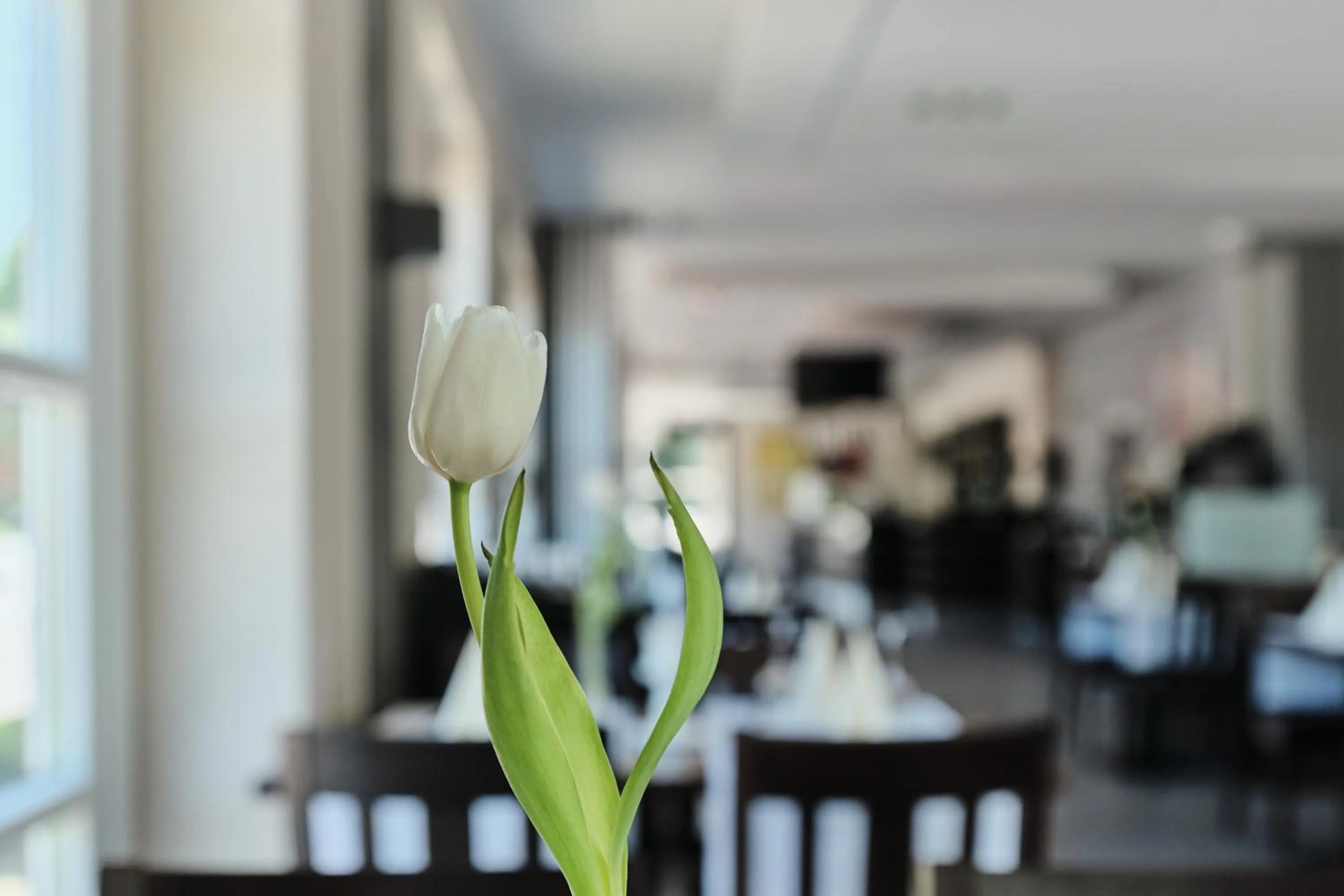 Restaurant/places to eat in Beisenbusch Hotel & Restaurant