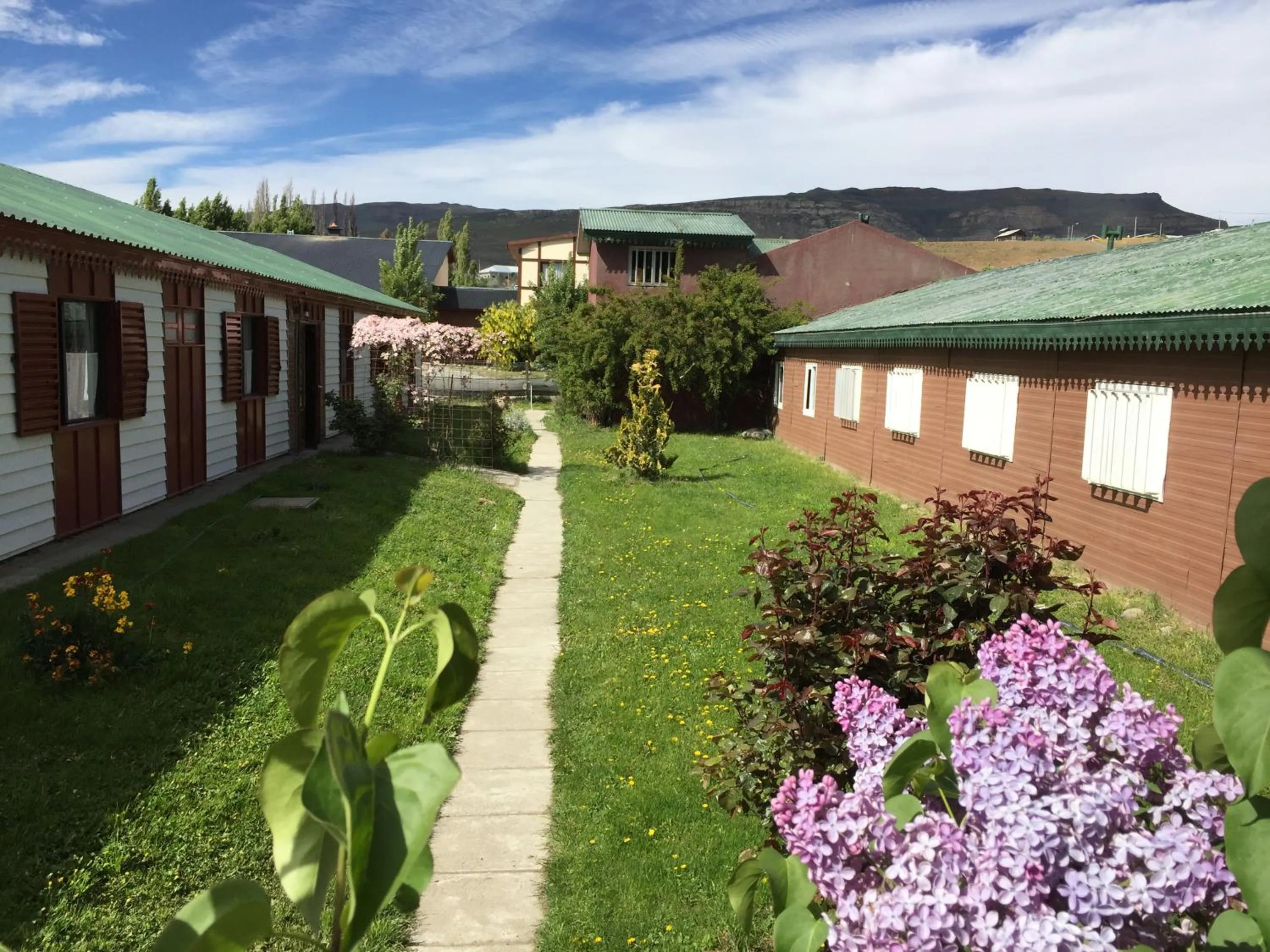 Garden in Hostel Los Pioneros