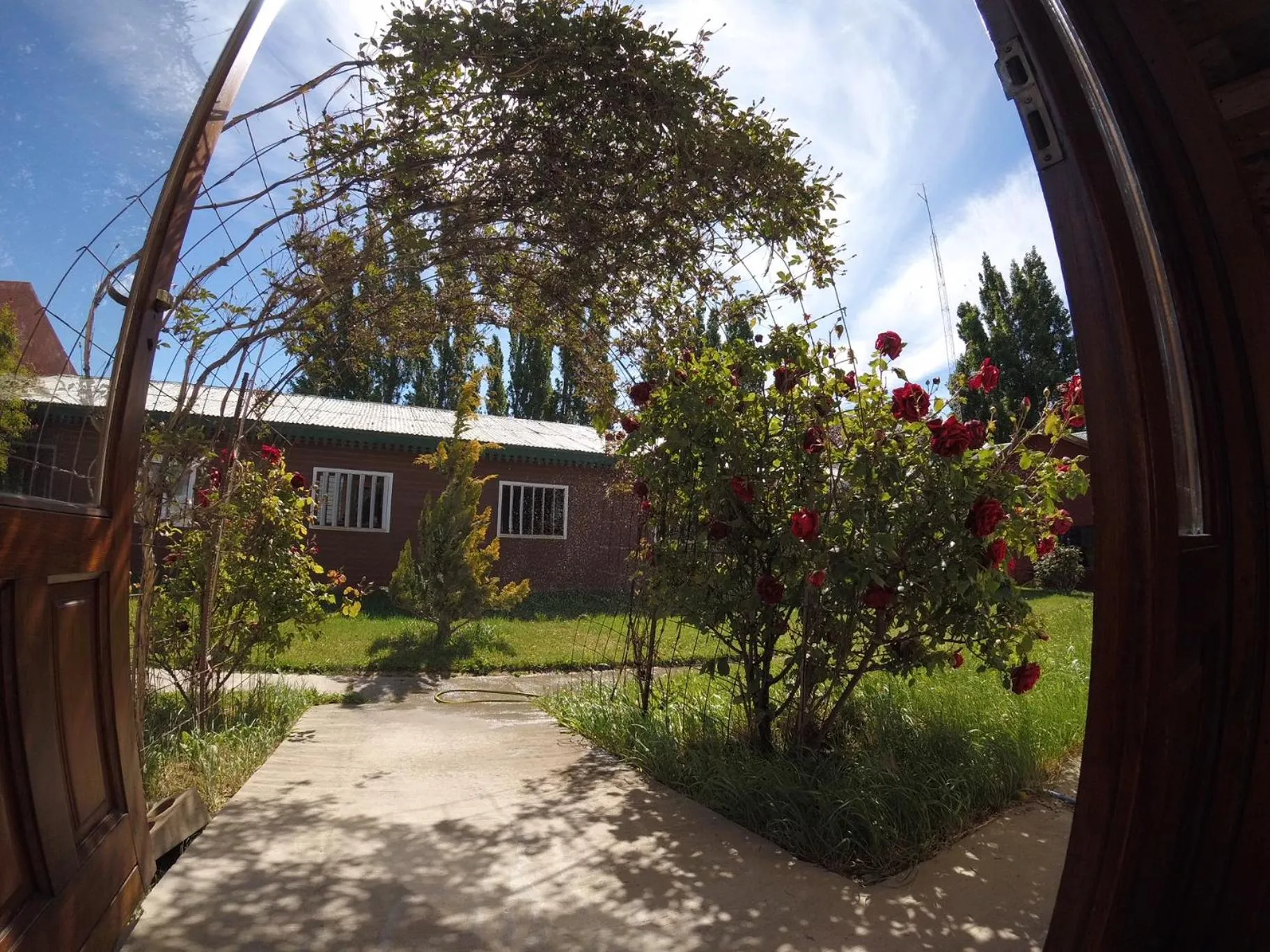 Garden in Hostel Los Pioneros