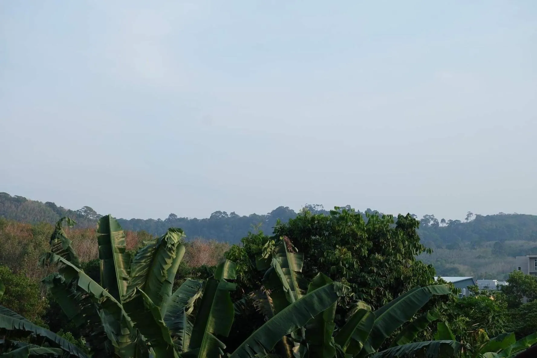 Airport Pearl Residence