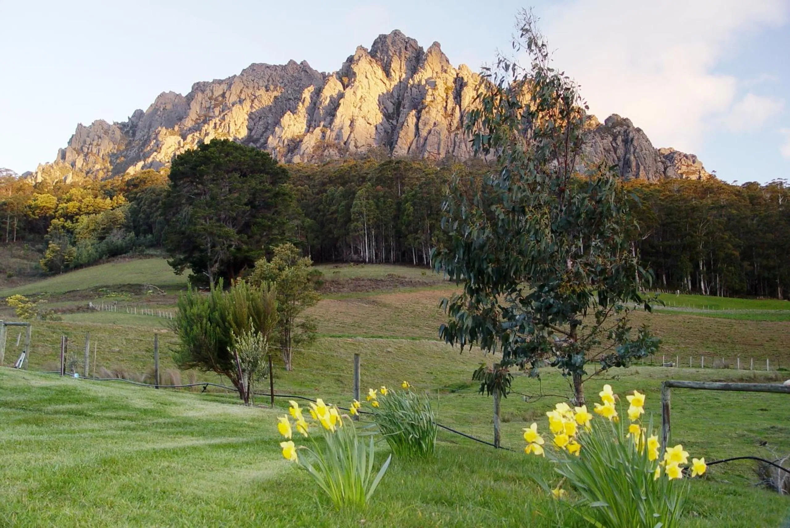 Mountain view in Silver Ridge Retreat
