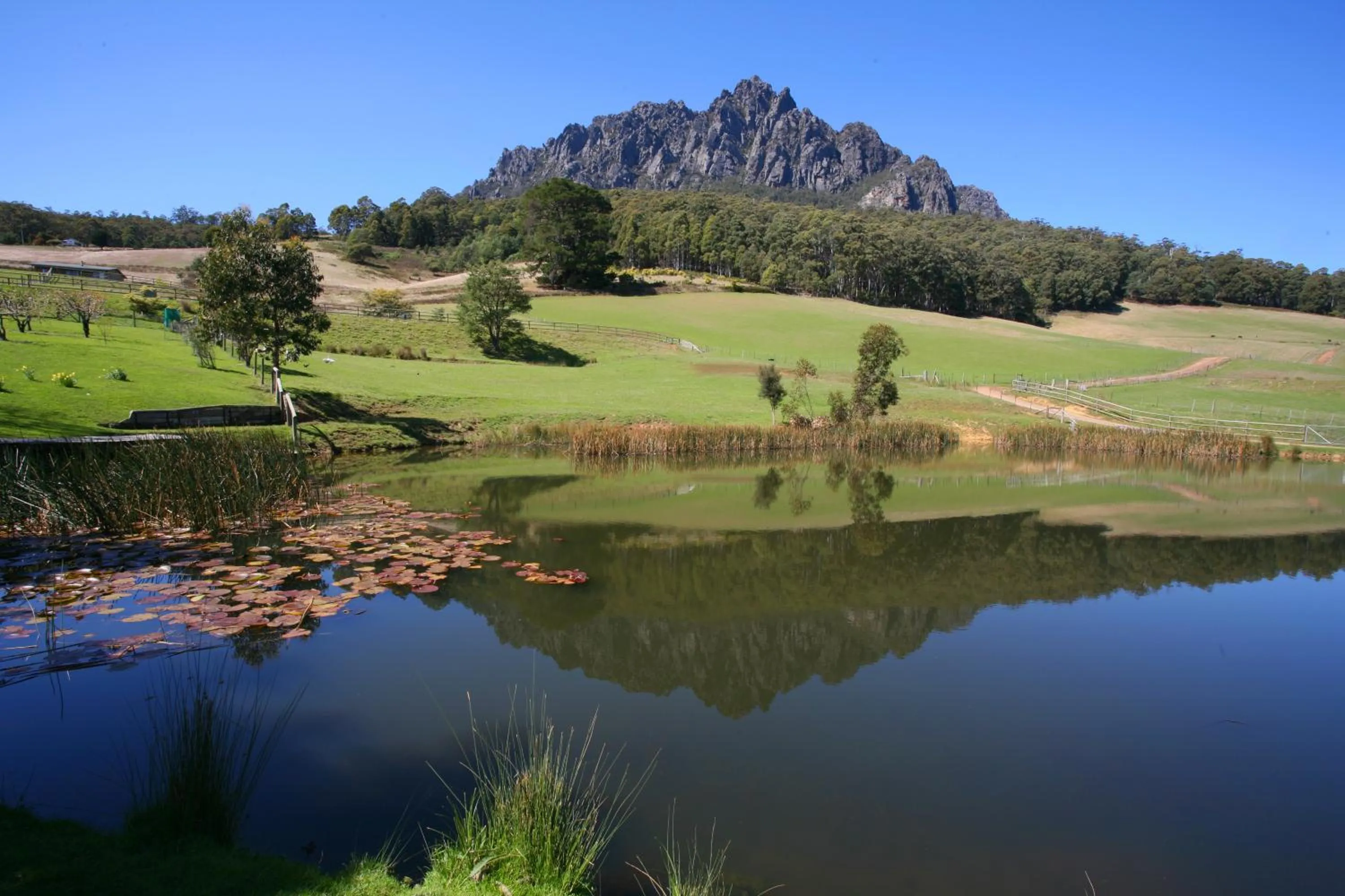 Mountain view in Silver Ridge Retreat