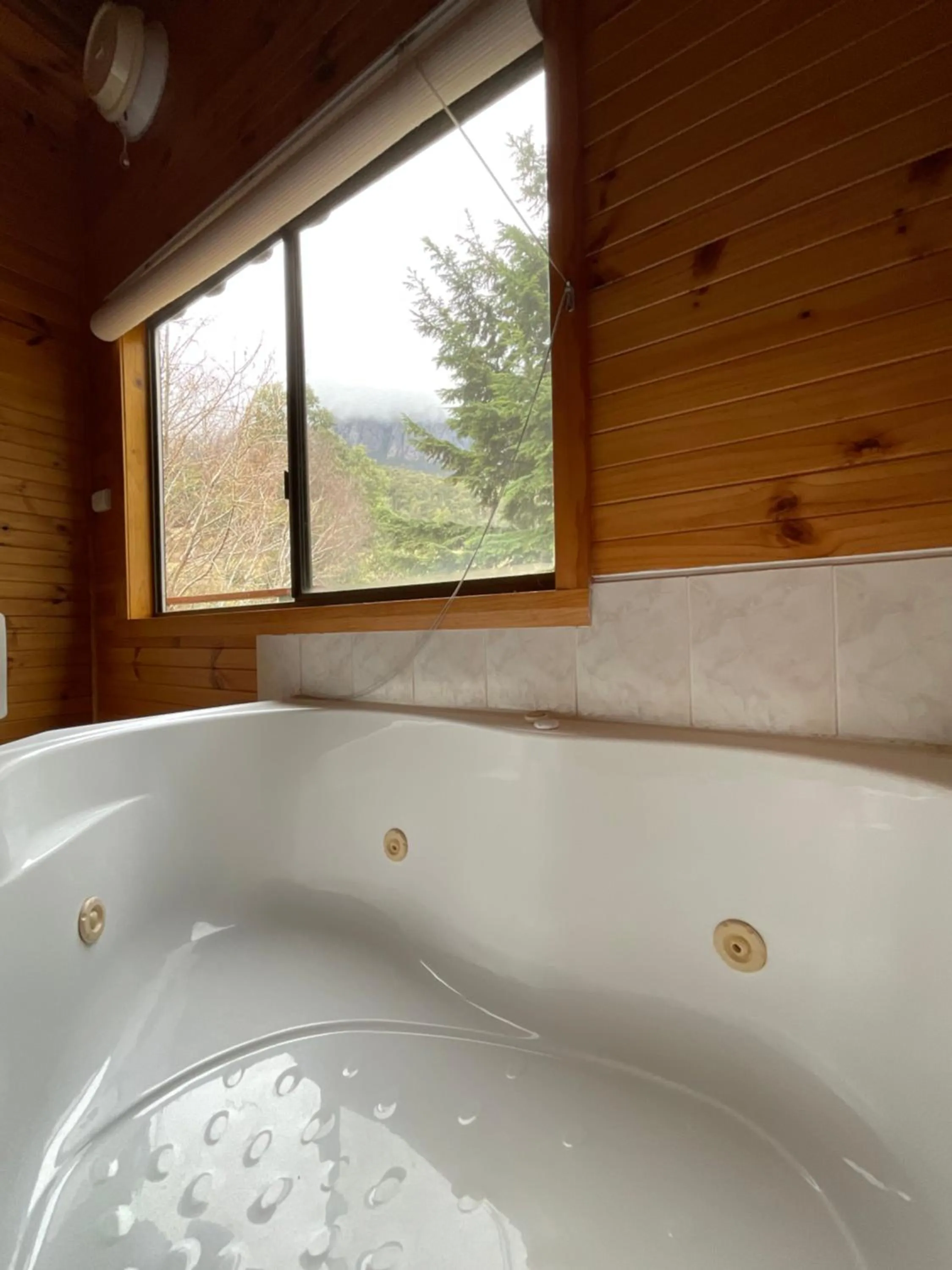 Bath in Silver Ridge Retreat