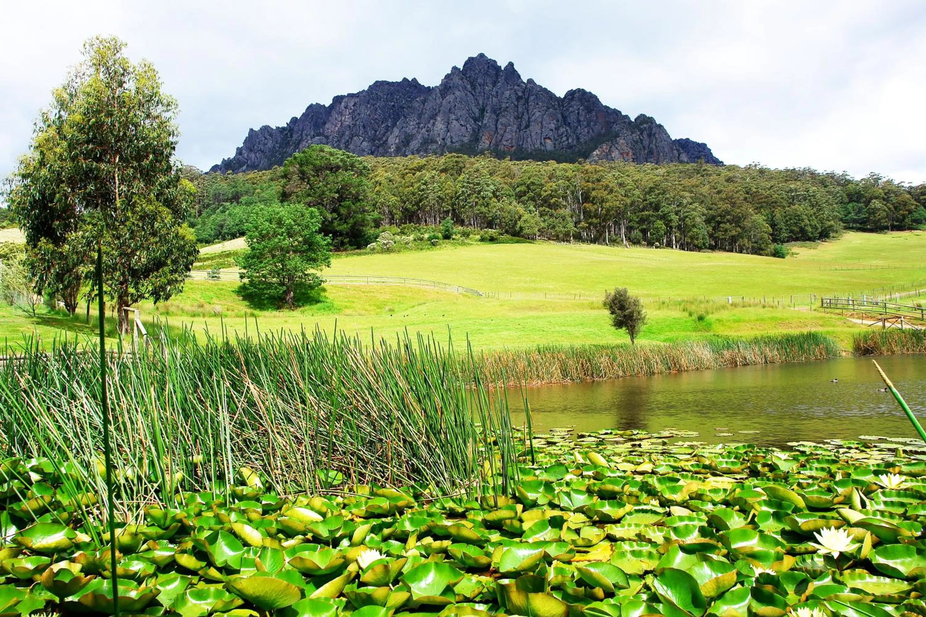 Facade/entrance in Silver Ridge Retreat