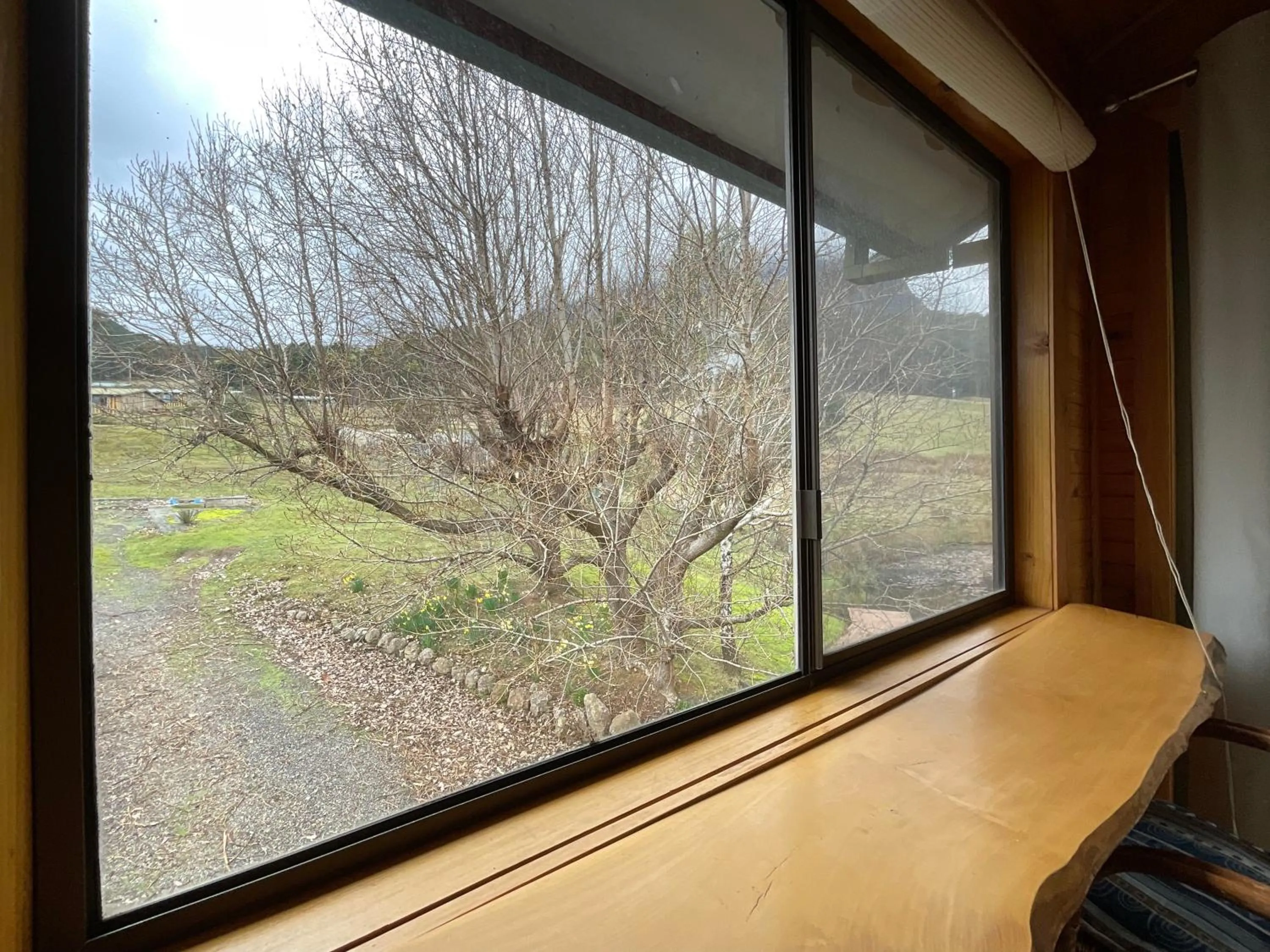 Garden view in Silver Ridge Retreat