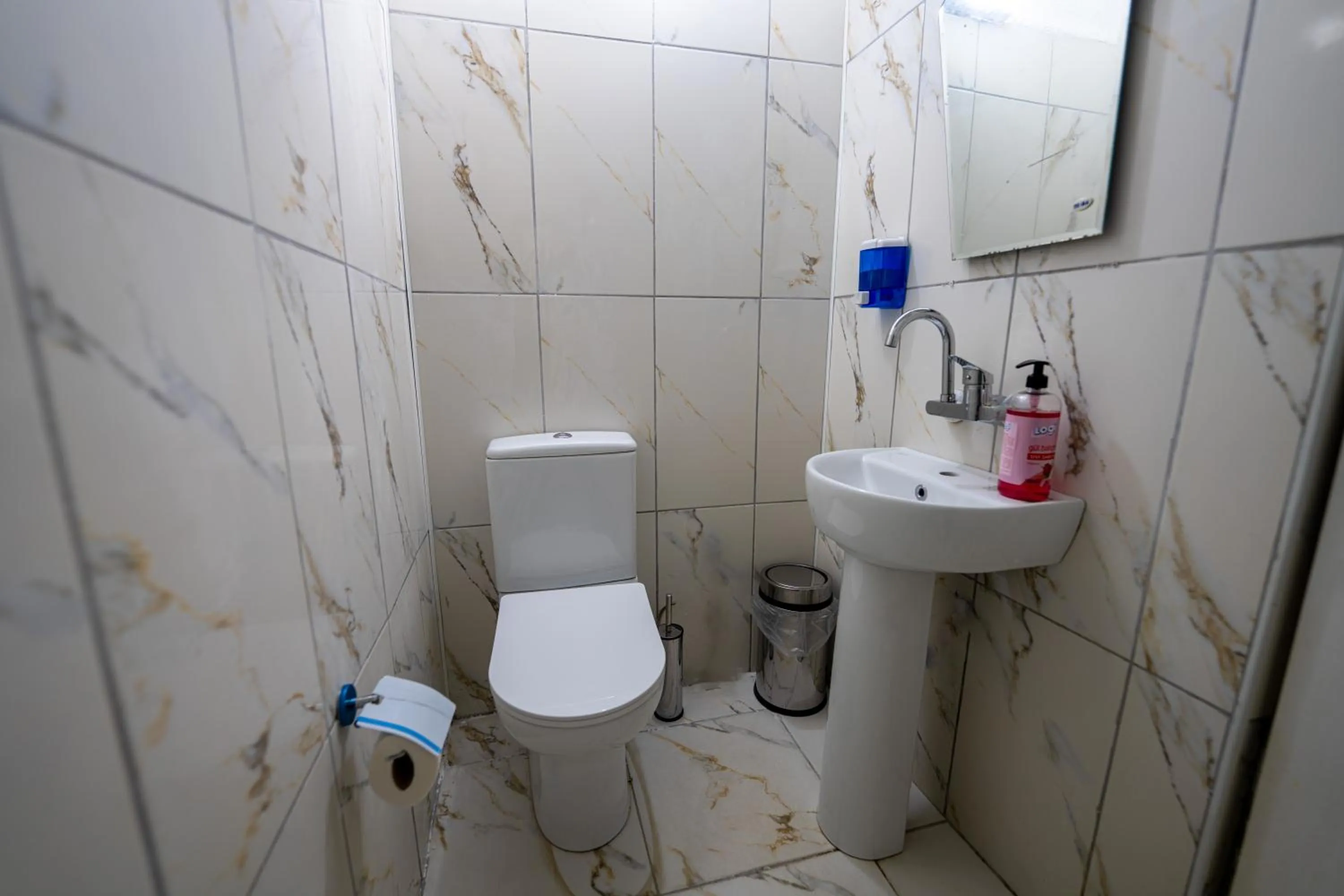 Toilet in hotels crazy horse