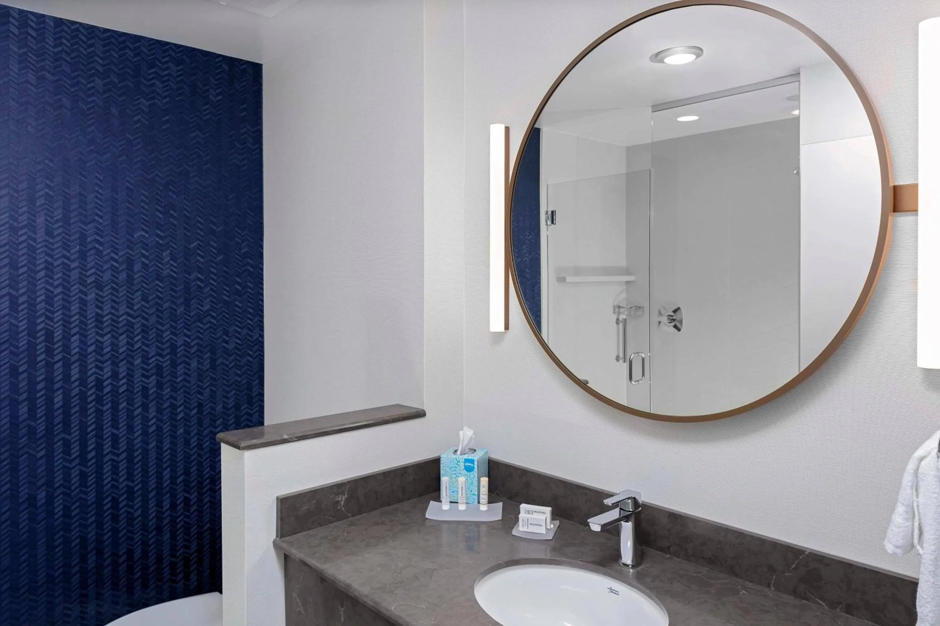 Bathroom in Fairfield Inn & Suites by Marriott Memphis Collierville