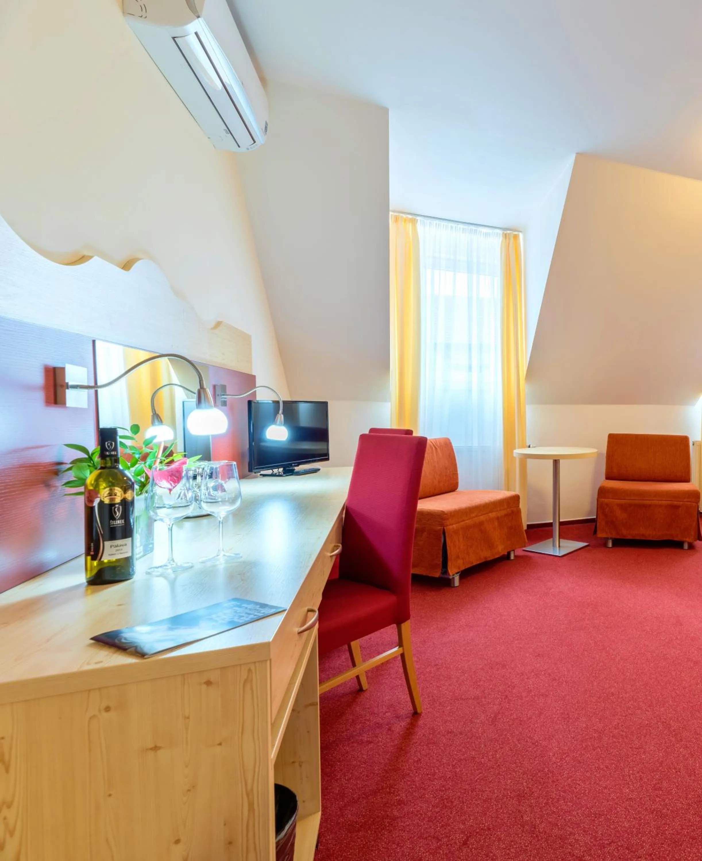 TV and multimedia in Wellness Hotel IRIS