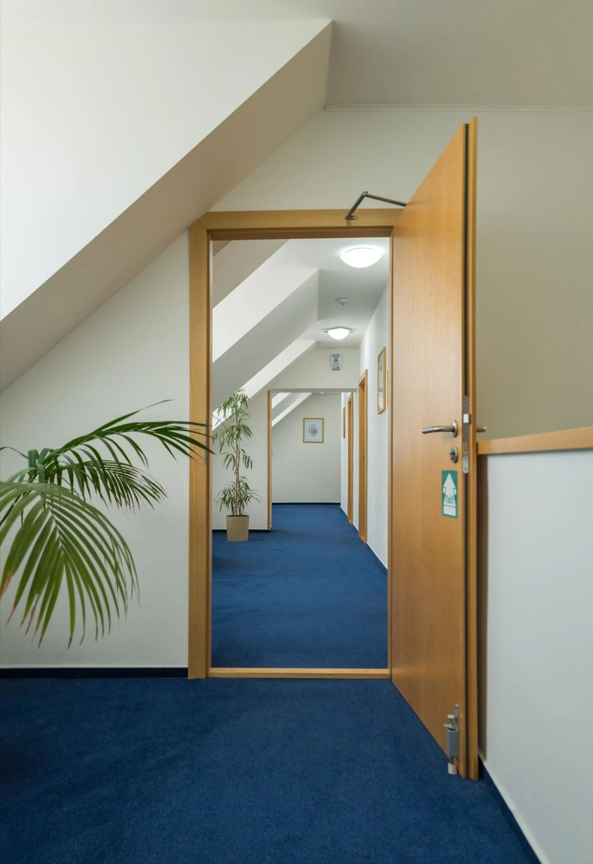 Decorative detail in Wellness Hotel IRIS