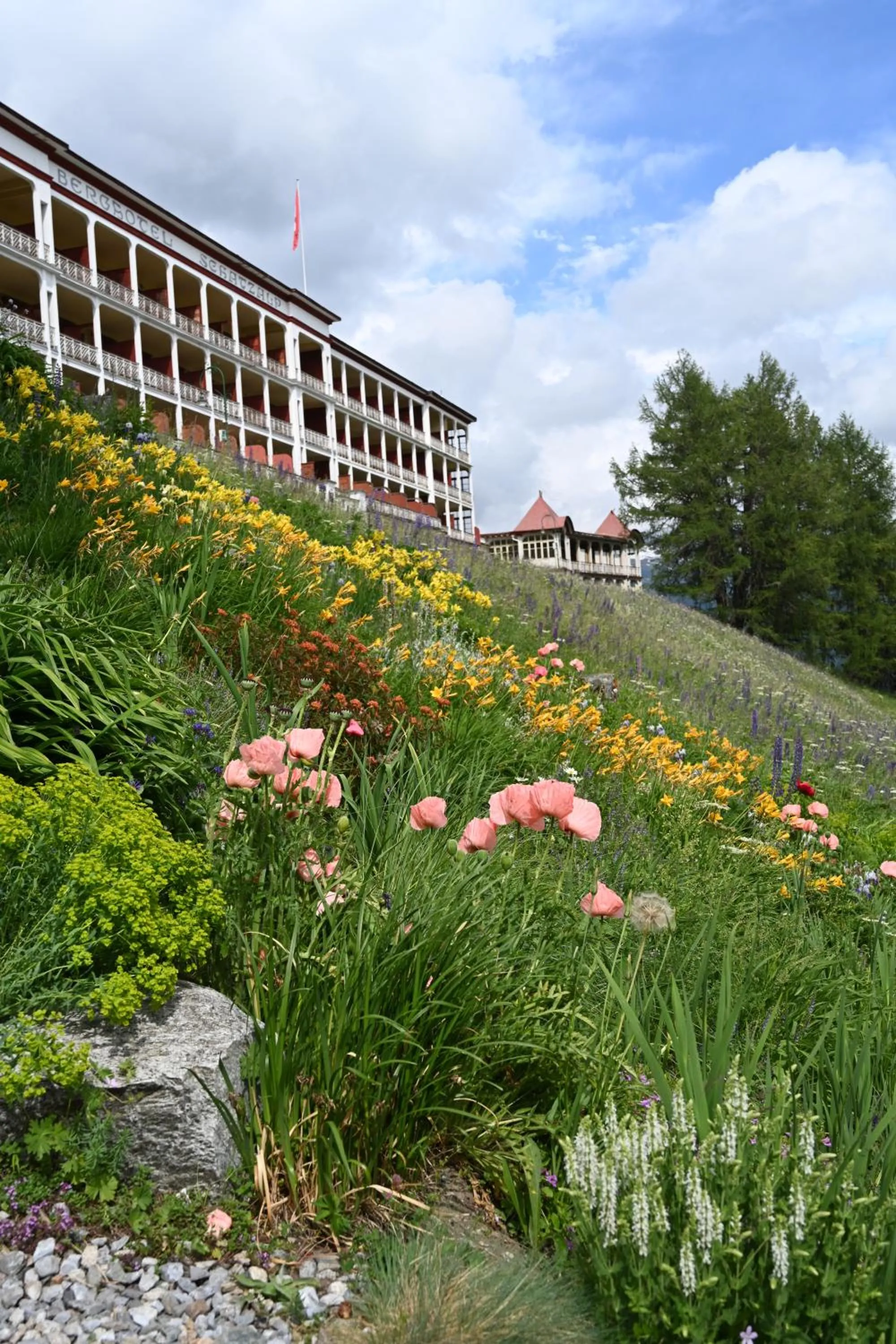 Garden in Schatzalp Hotel