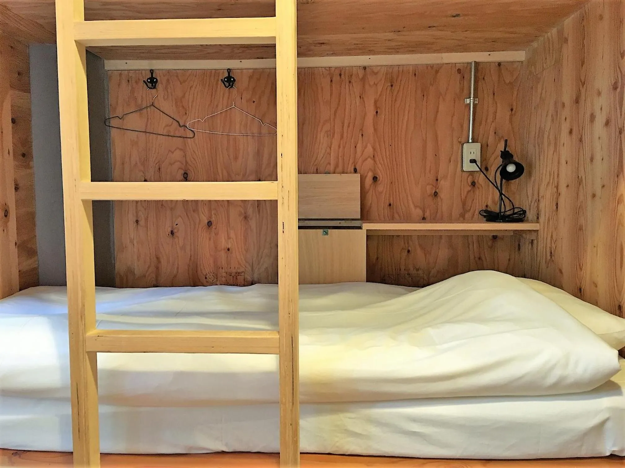 bunk bed, Bed in Hostel Bedgasm