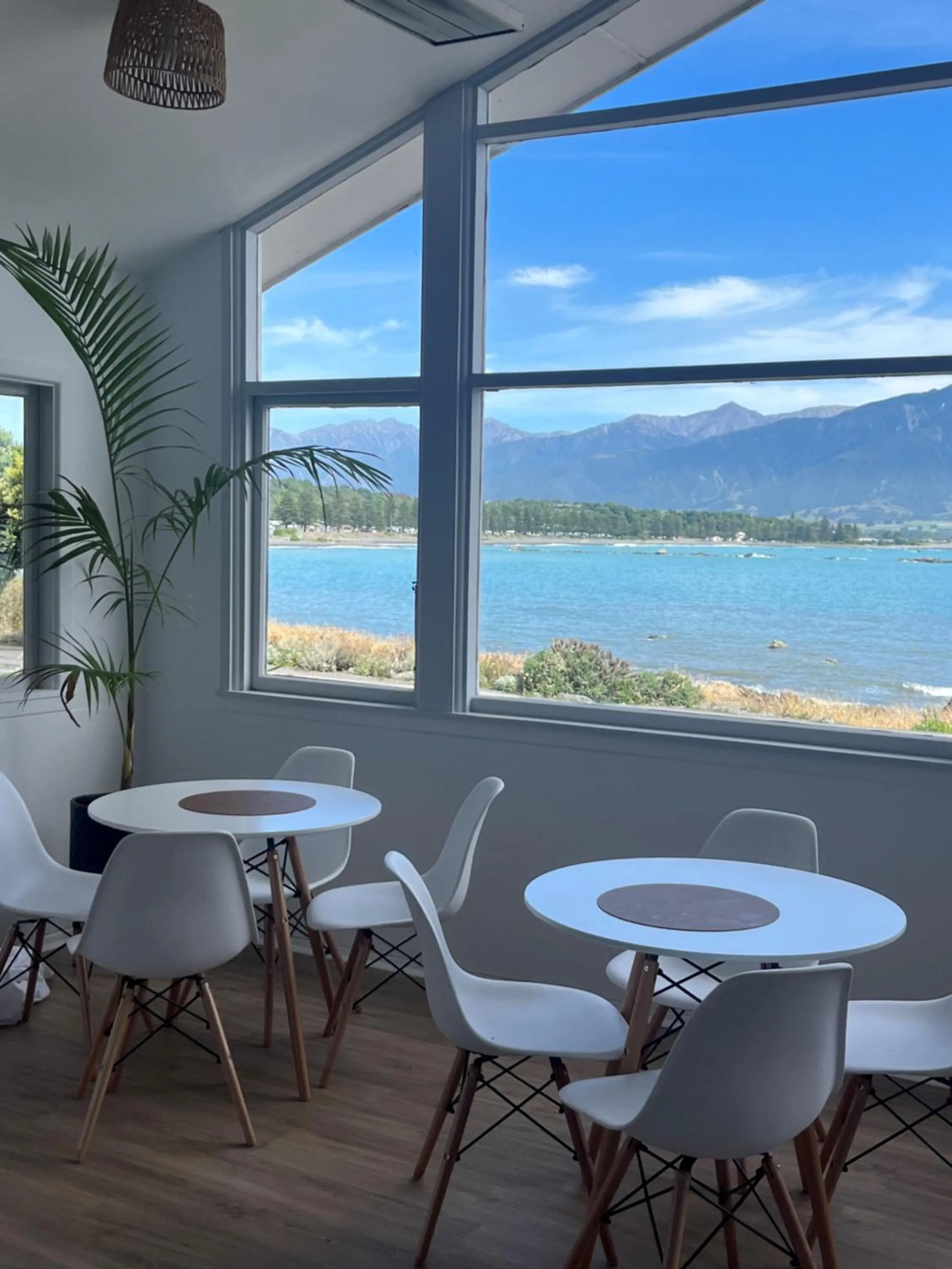 View (from property/room) in Kaikoura Seaside lodge