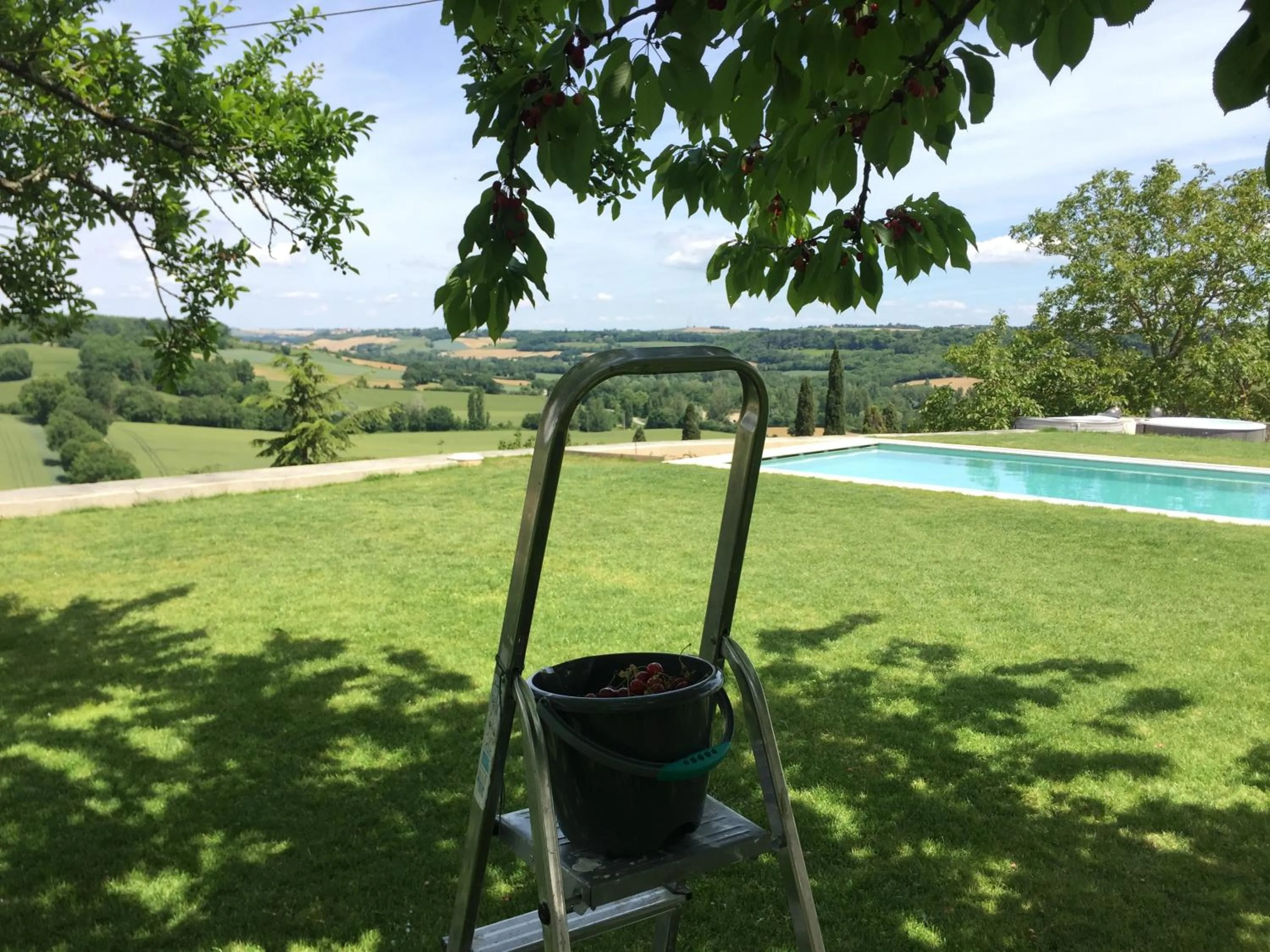 Garden in B&B La Mirande de Saint-Clar