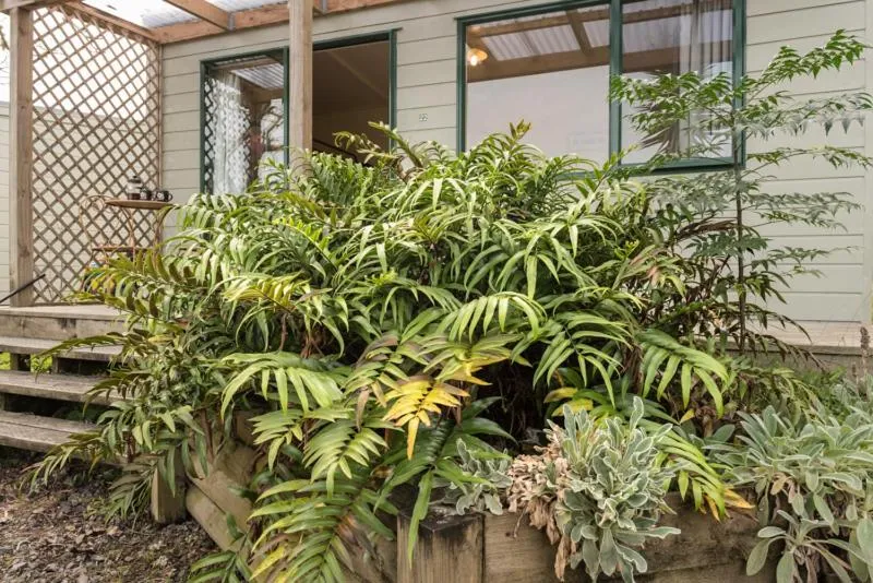 Balcony/Terrace in Russell-Orongo Bay Holiday Park