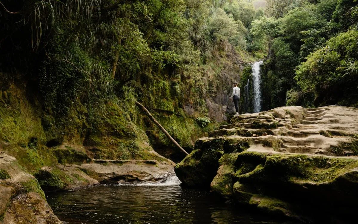 Tasman Holiday Parks - Ohiwa