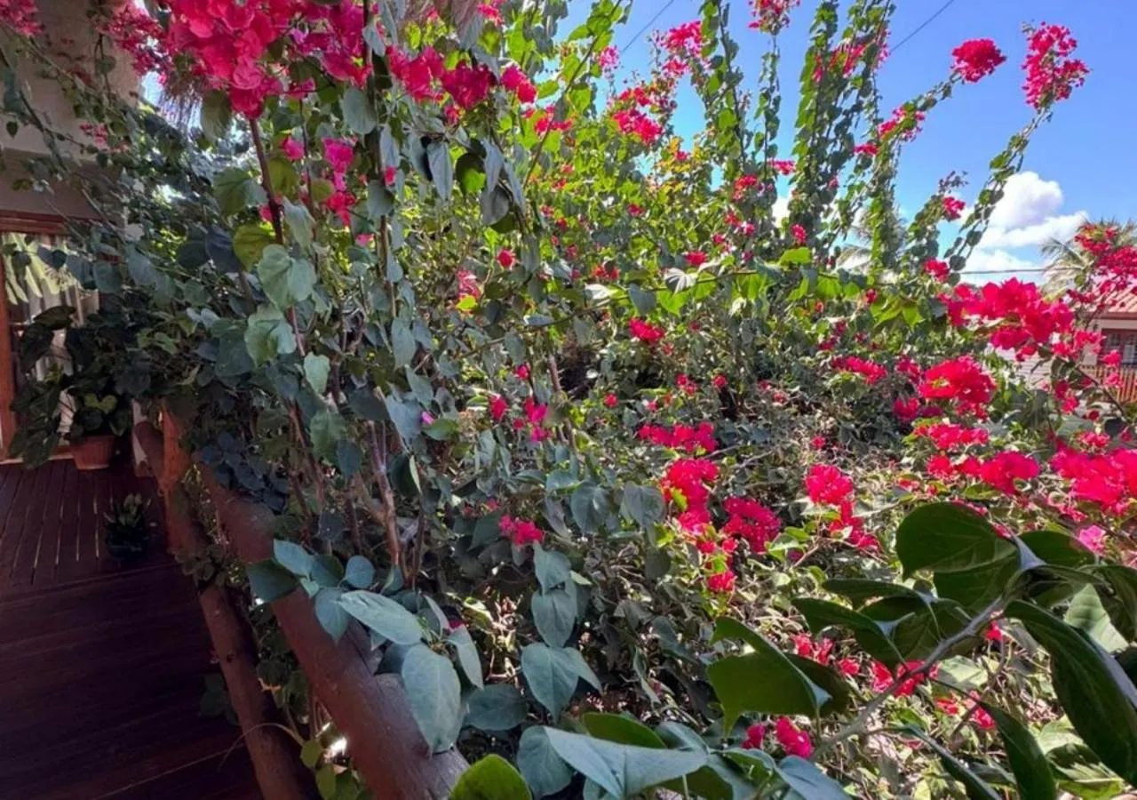 Garden in Pousada Divino Milagre