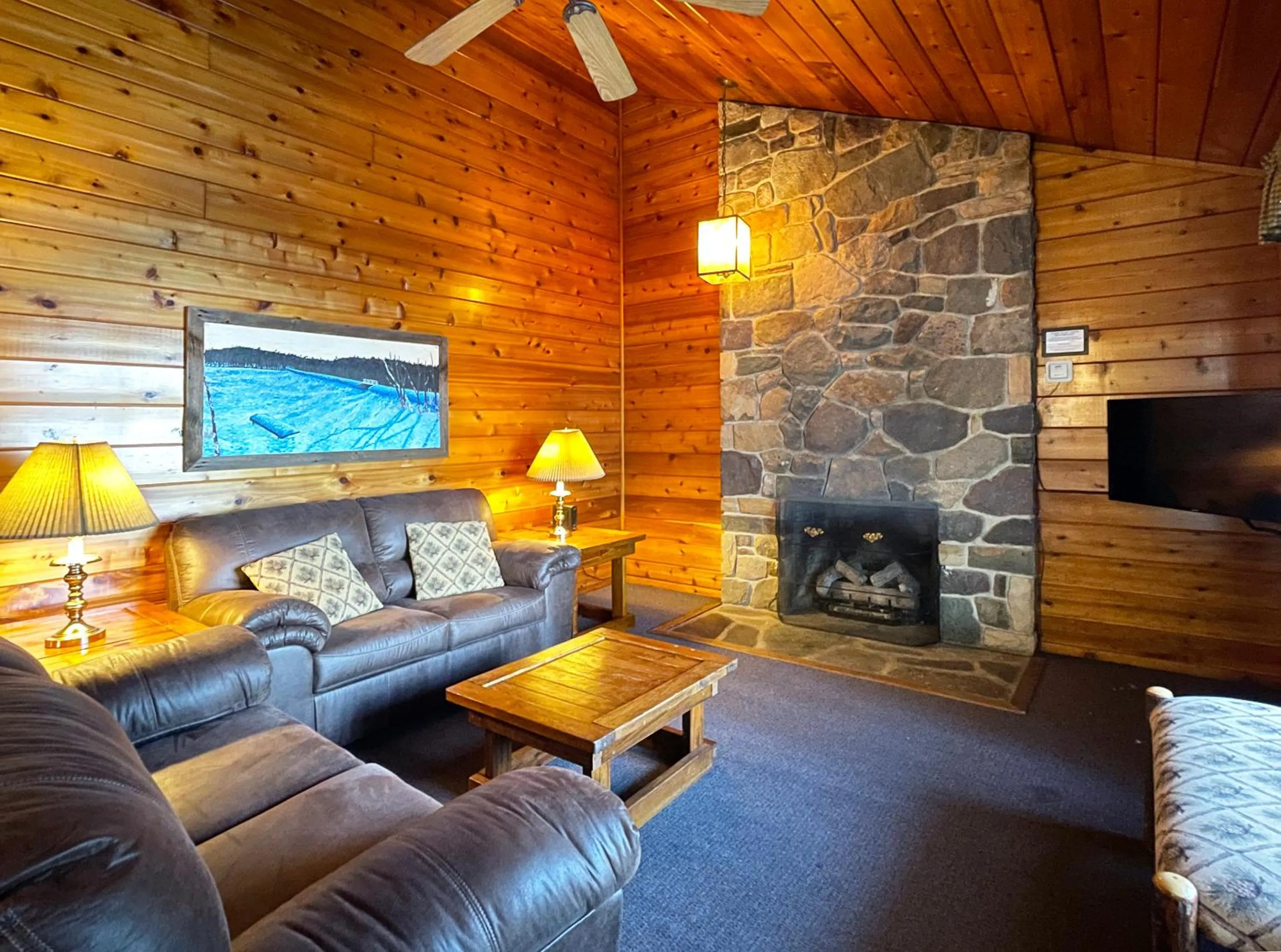 TV and multimedia in Mountain Springs Lake Resort