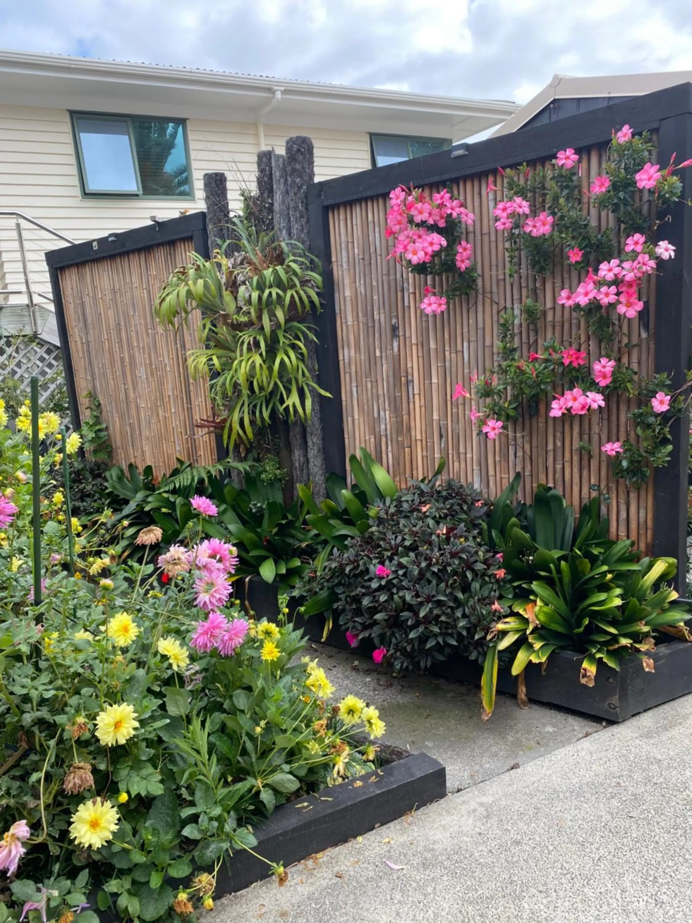Garden view in Opononi Lighthouse Motel