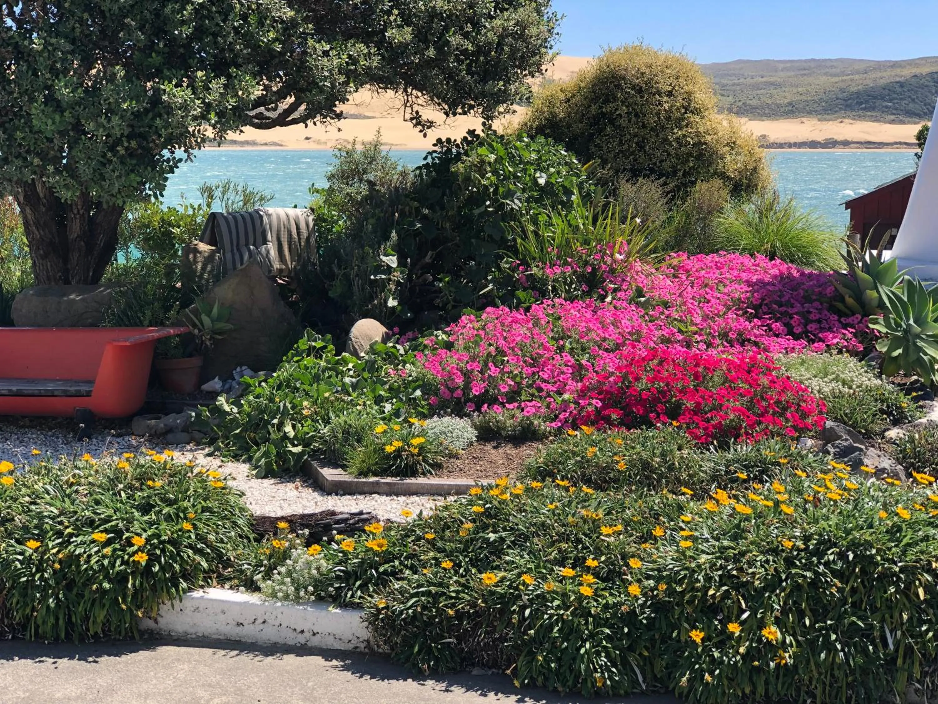 Garden in Opononi Lighthouse Motel