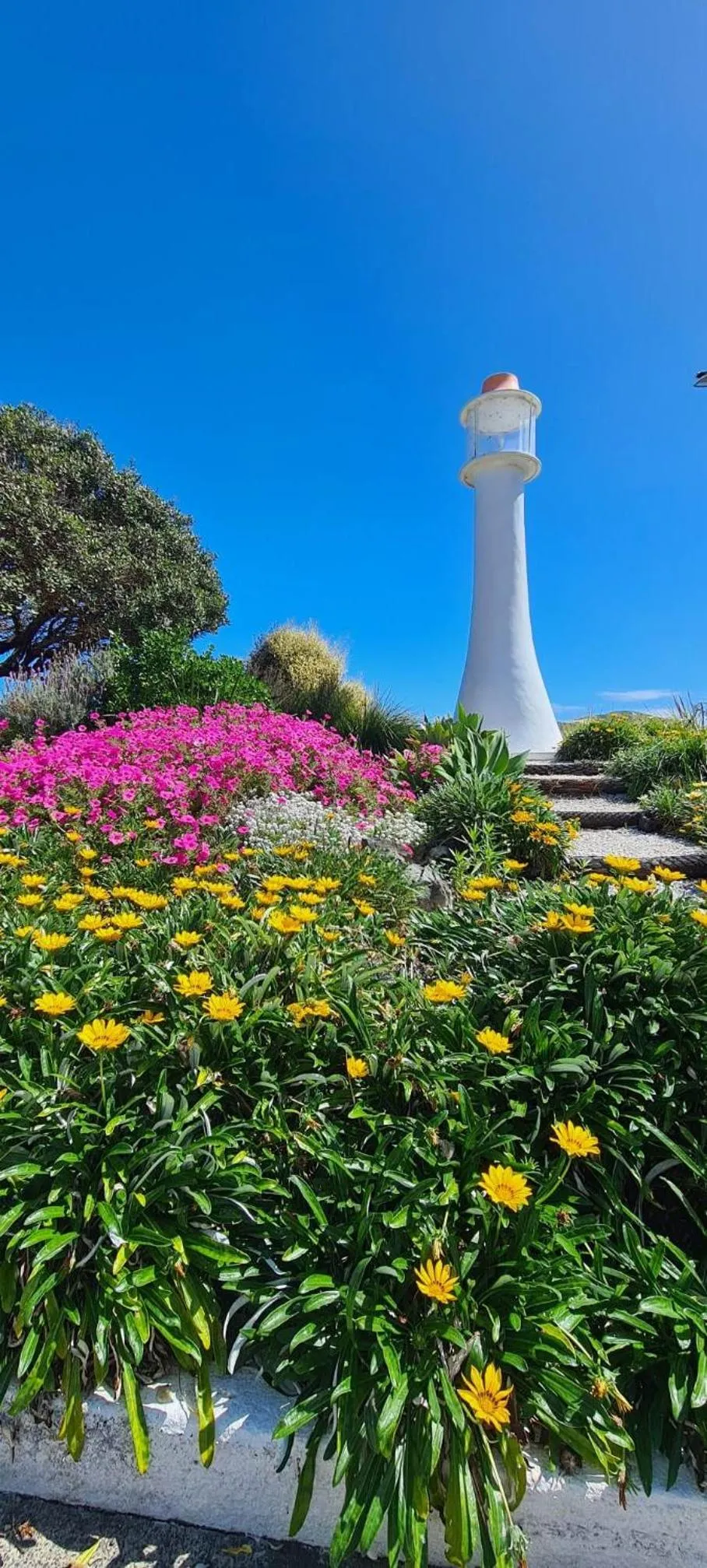 Garden in Opononi Lighthouse Motel