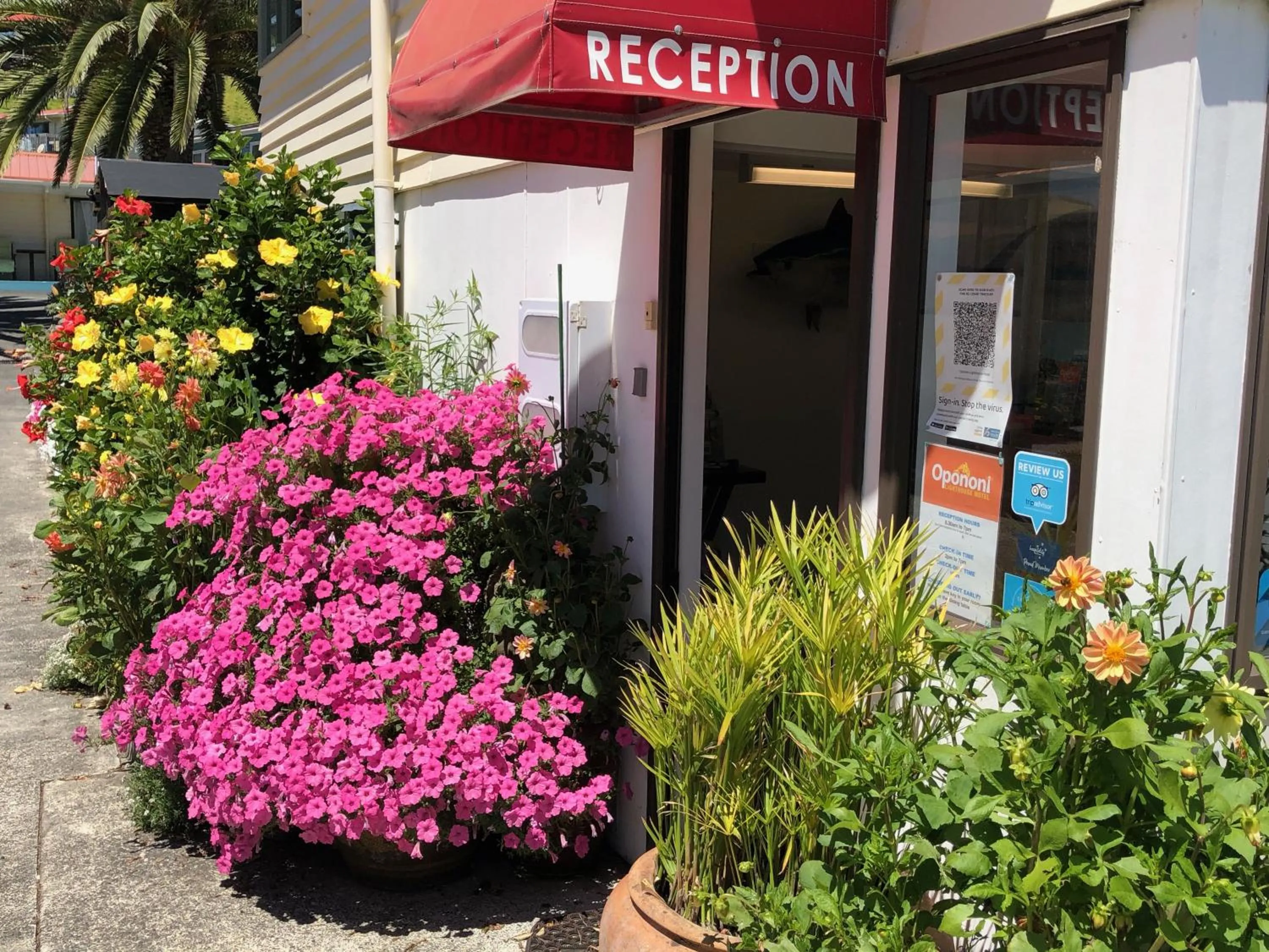 Facade/entrance in Opononi Lighthouse Motel
