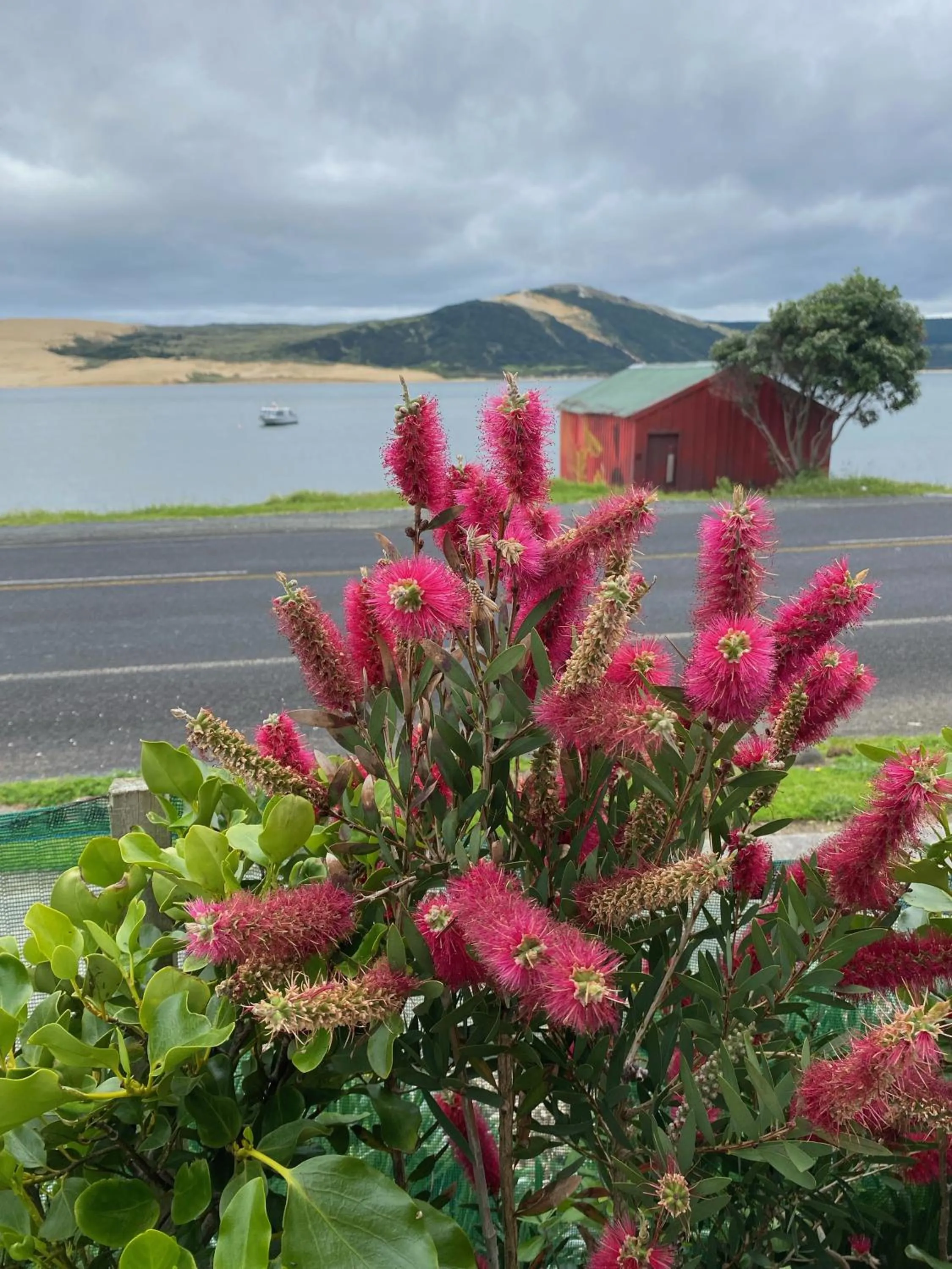 Sea view in Opononi Lighthouse Motel
