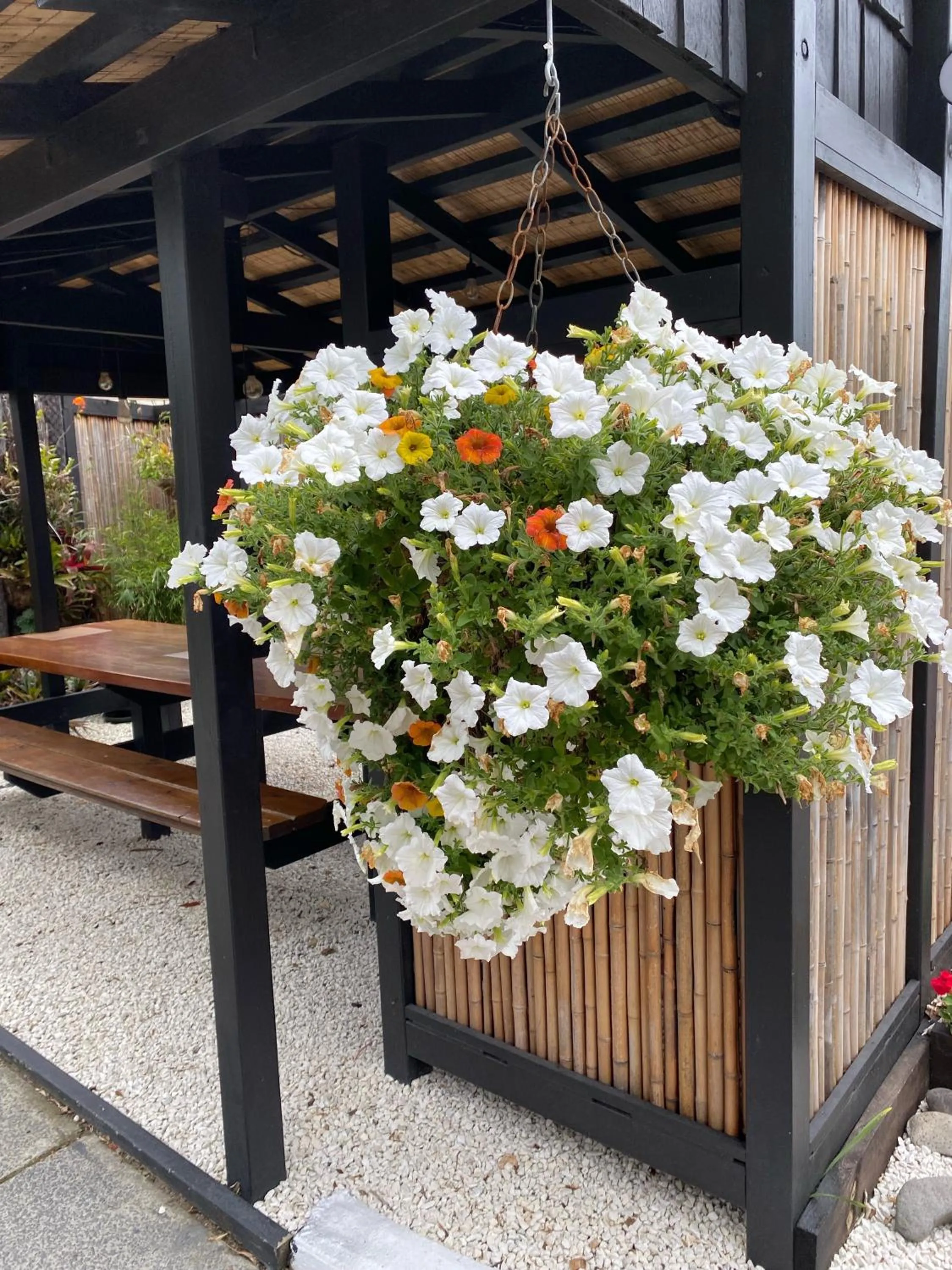 Garden in Opononi Lighthouse Motel