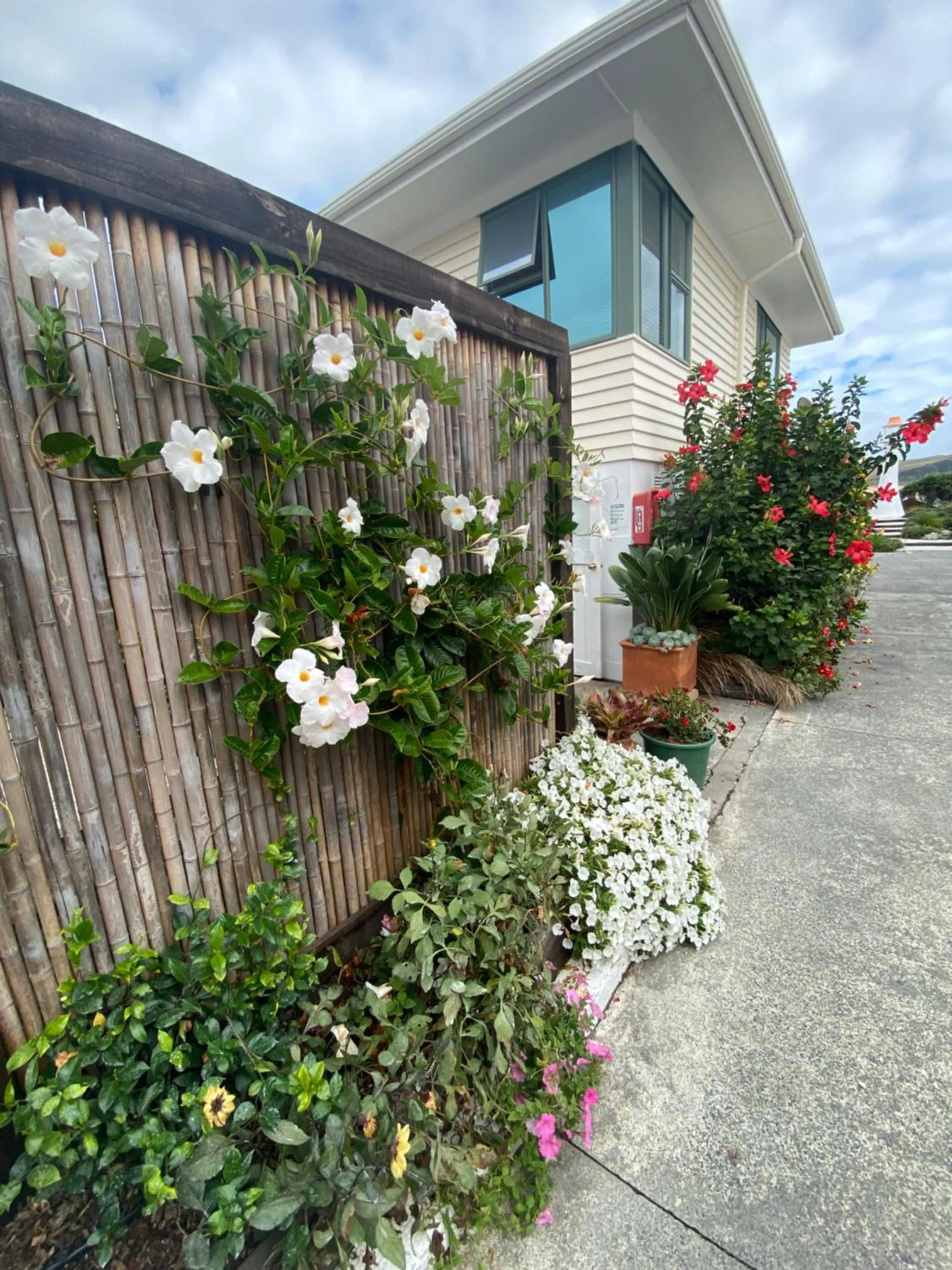 Garden in Opononi Lighthouse Motel