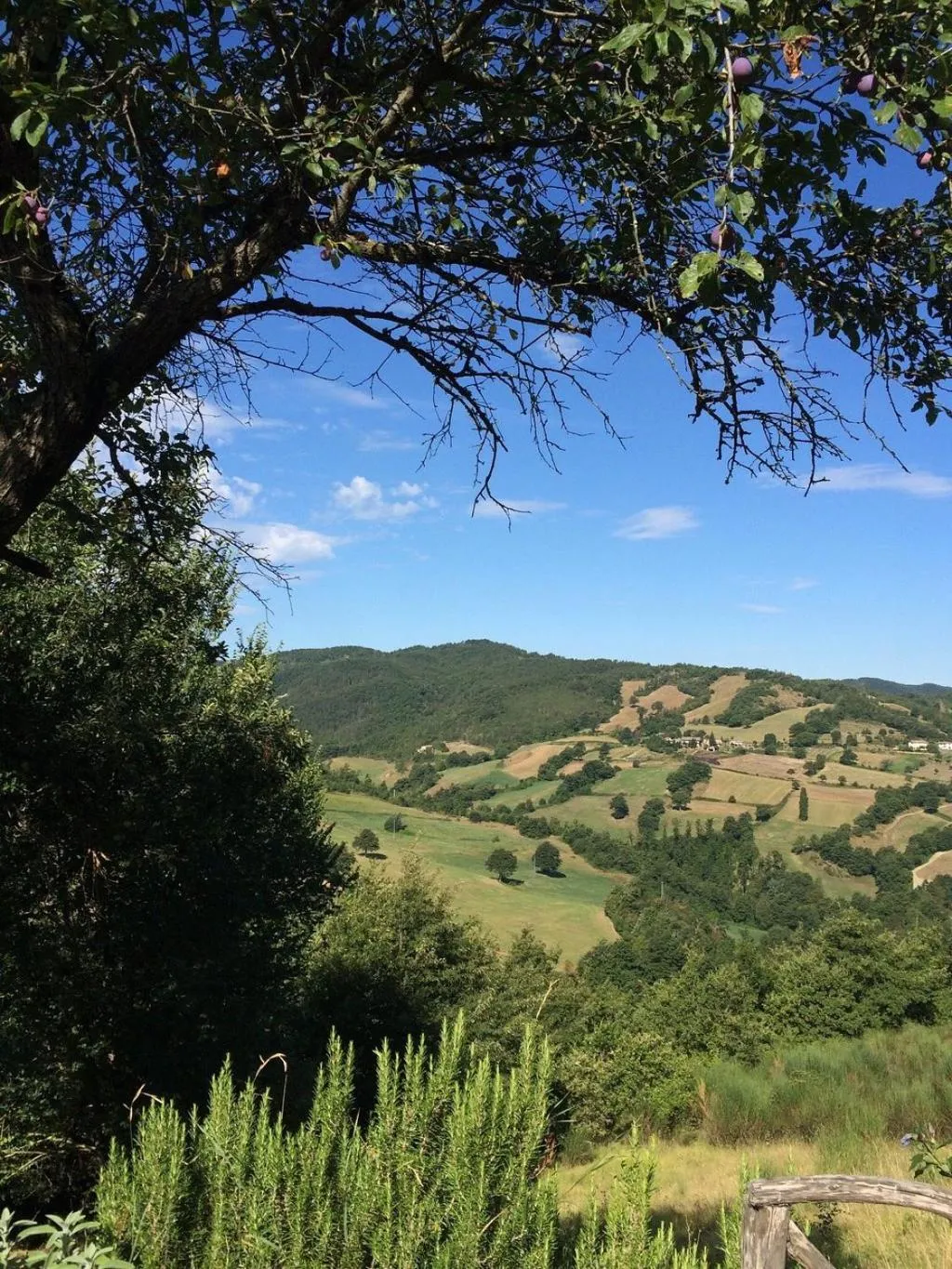 Natural landscape in GranNoce Bed and Breakfast