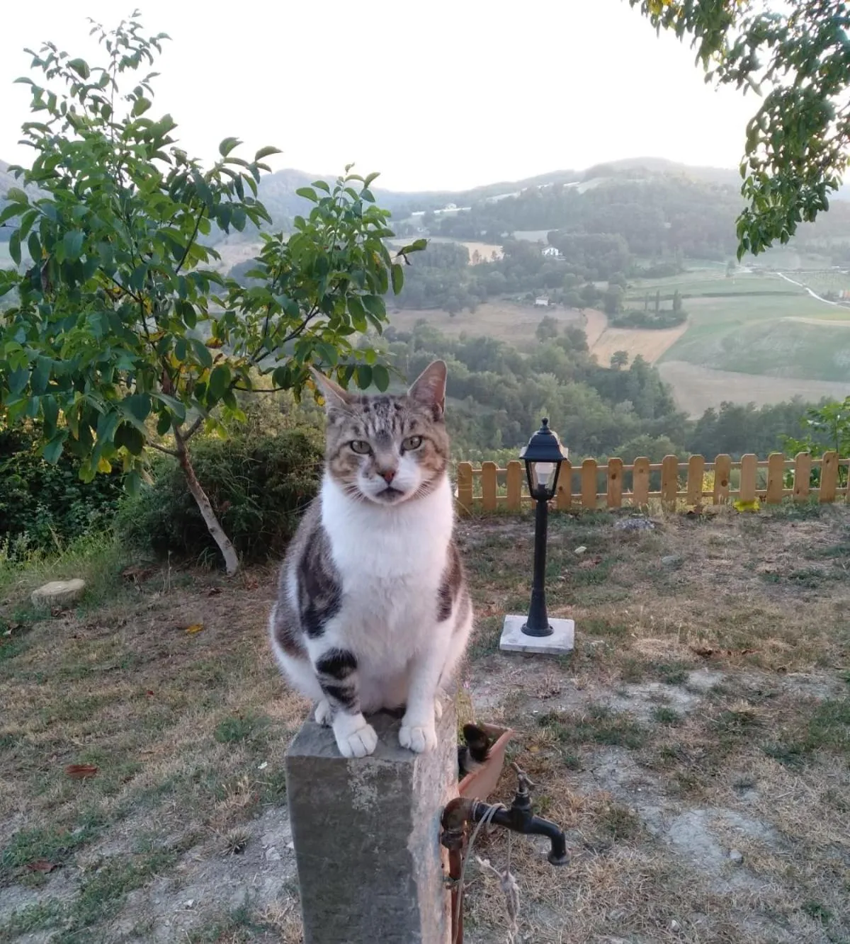Natural landscape in GranNoce Bed and Breakfast