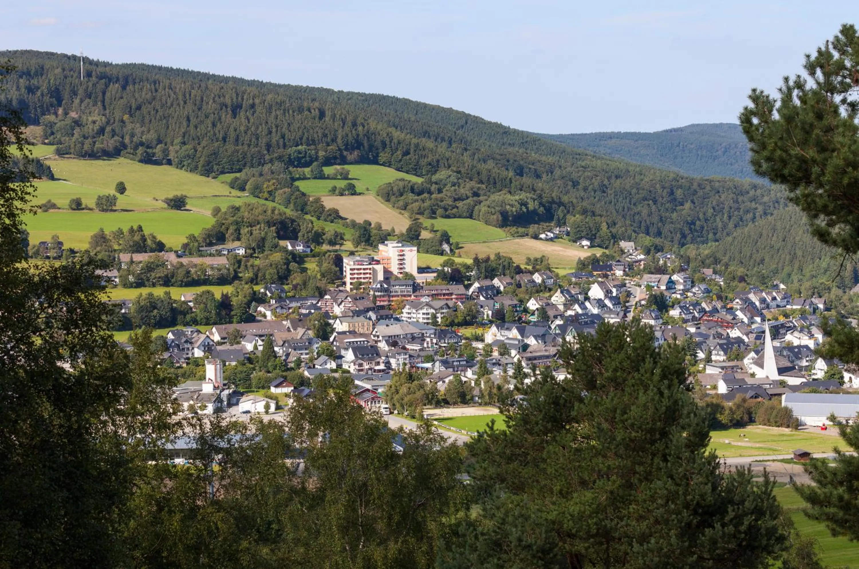 Natural landscape in Hotel Hochsauerland 2010